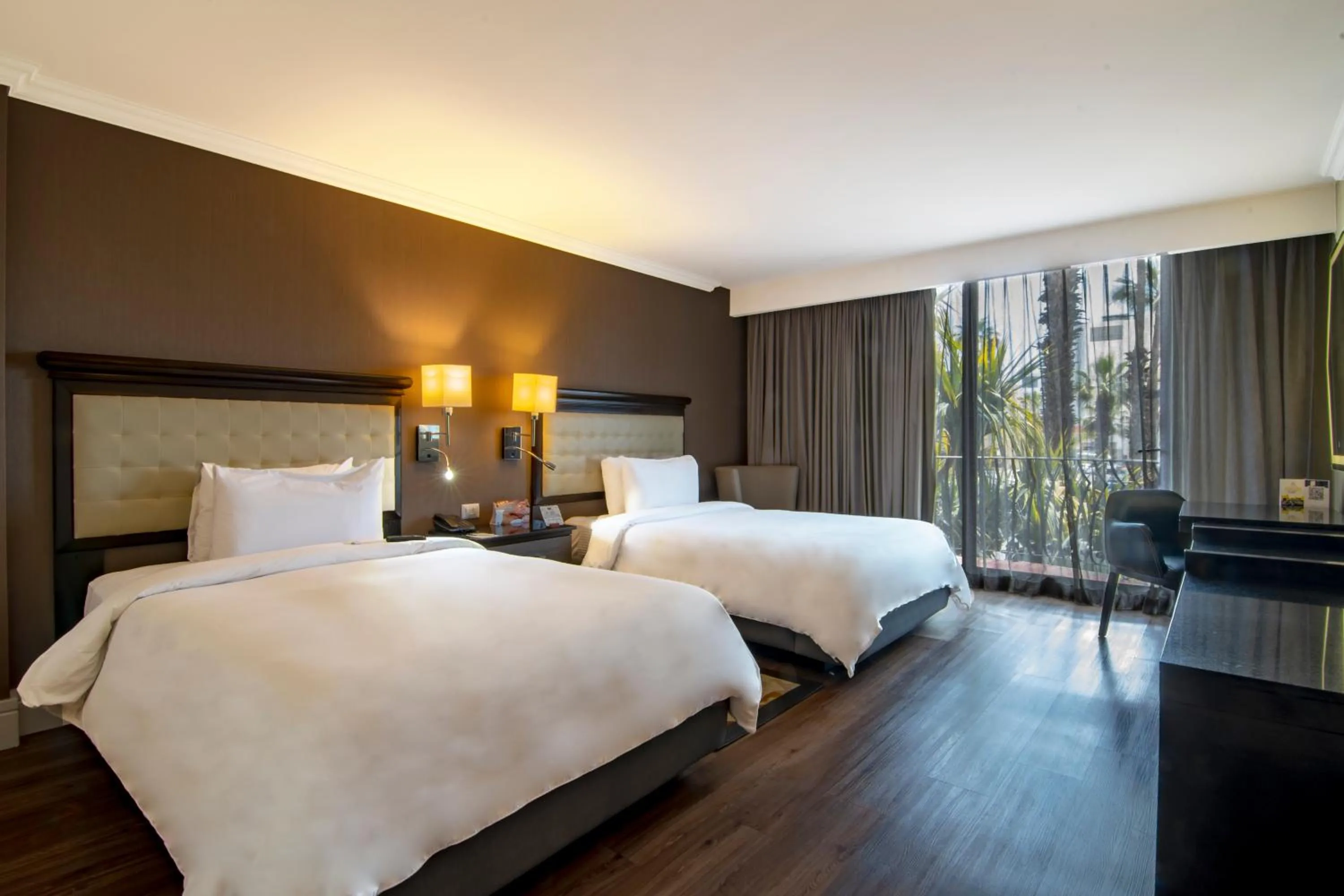 Executive Double Room in Hotel Lucerna Tijuana