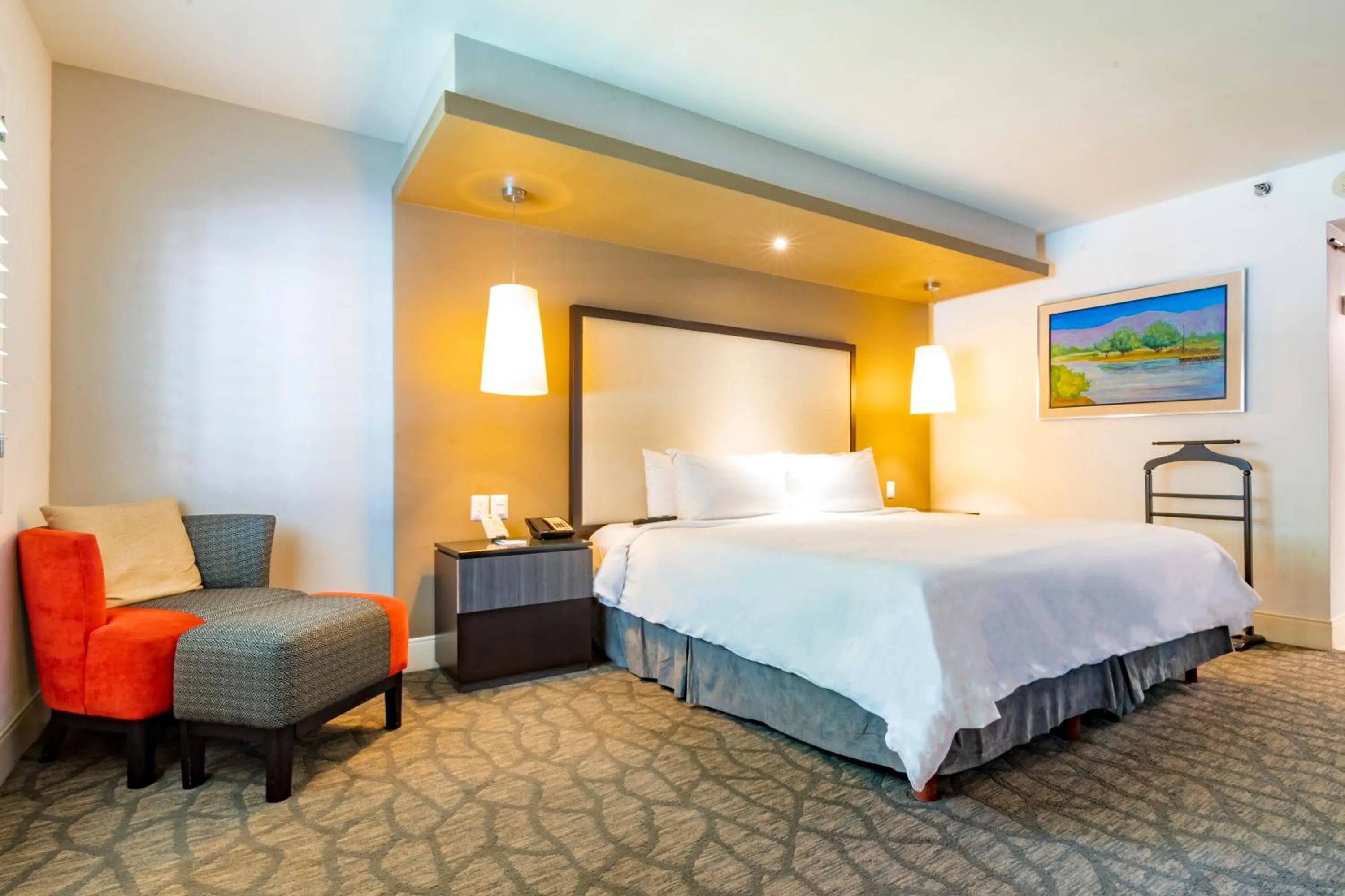 Deluxe Executive King in Hotel Lucerna Mexicali