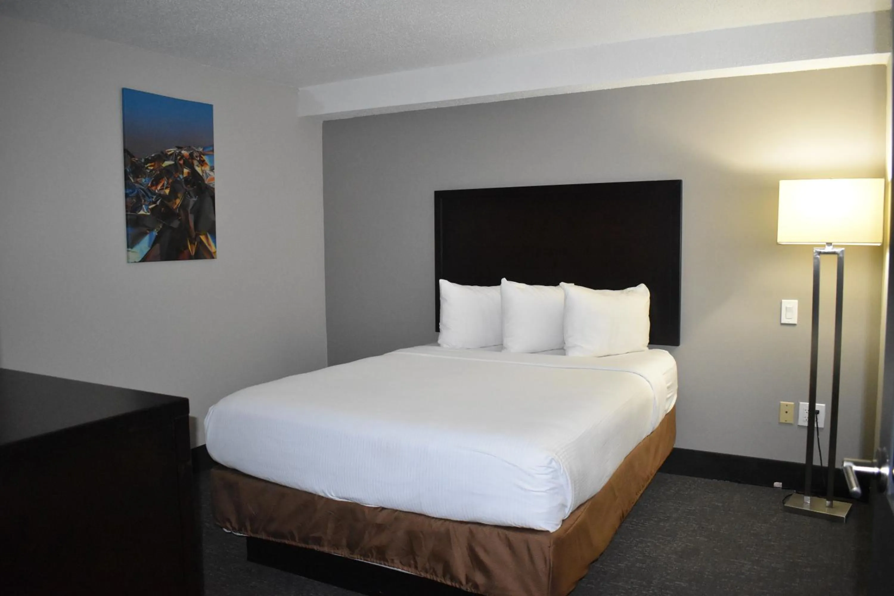 Two-Bedroom Premium Suite - Non-Smoking in Wingate by Wyndham Atlanta Galleria/ Ballpark