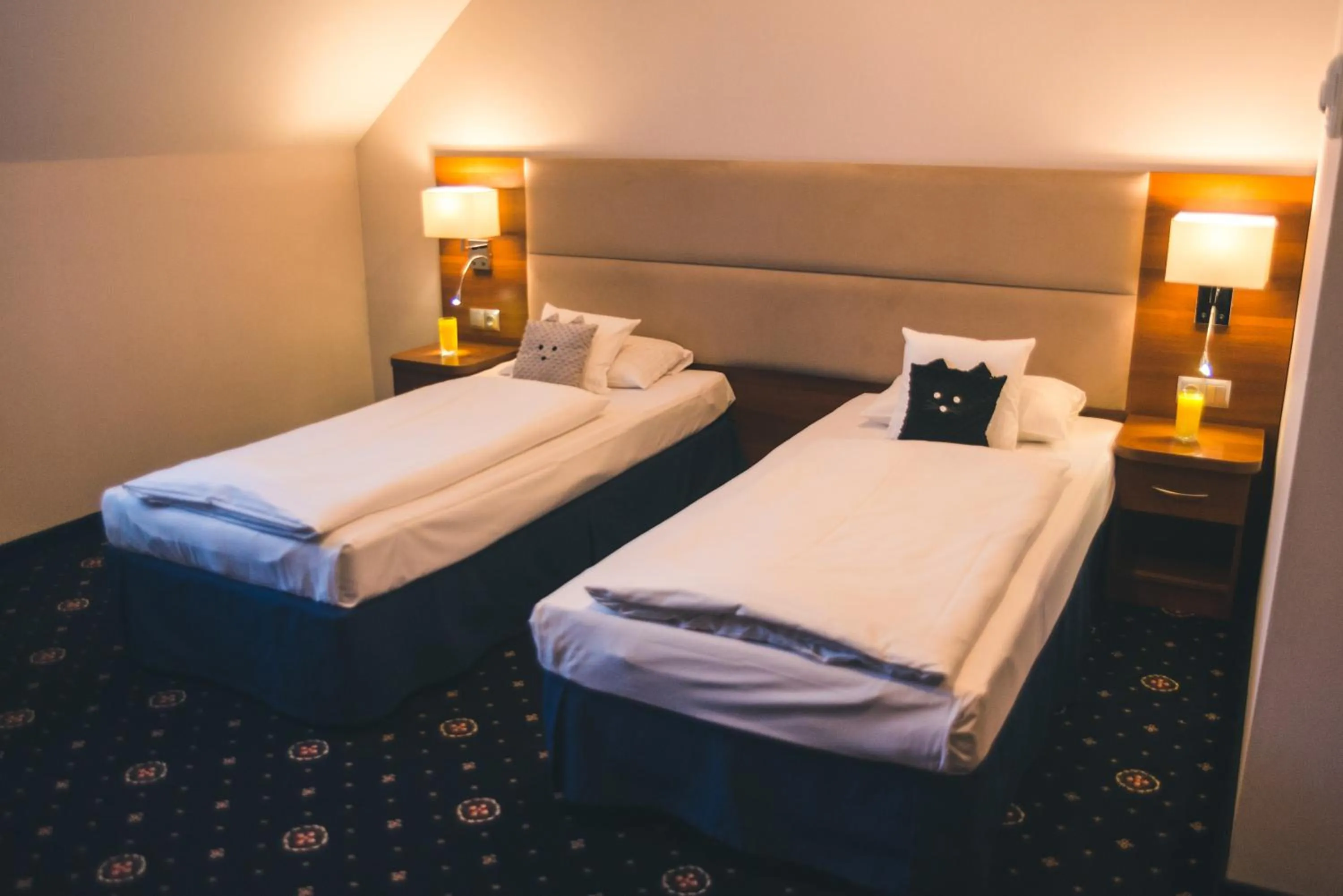 Standard Double or Twin Room - single occupancy in ParkHotel Łysoń