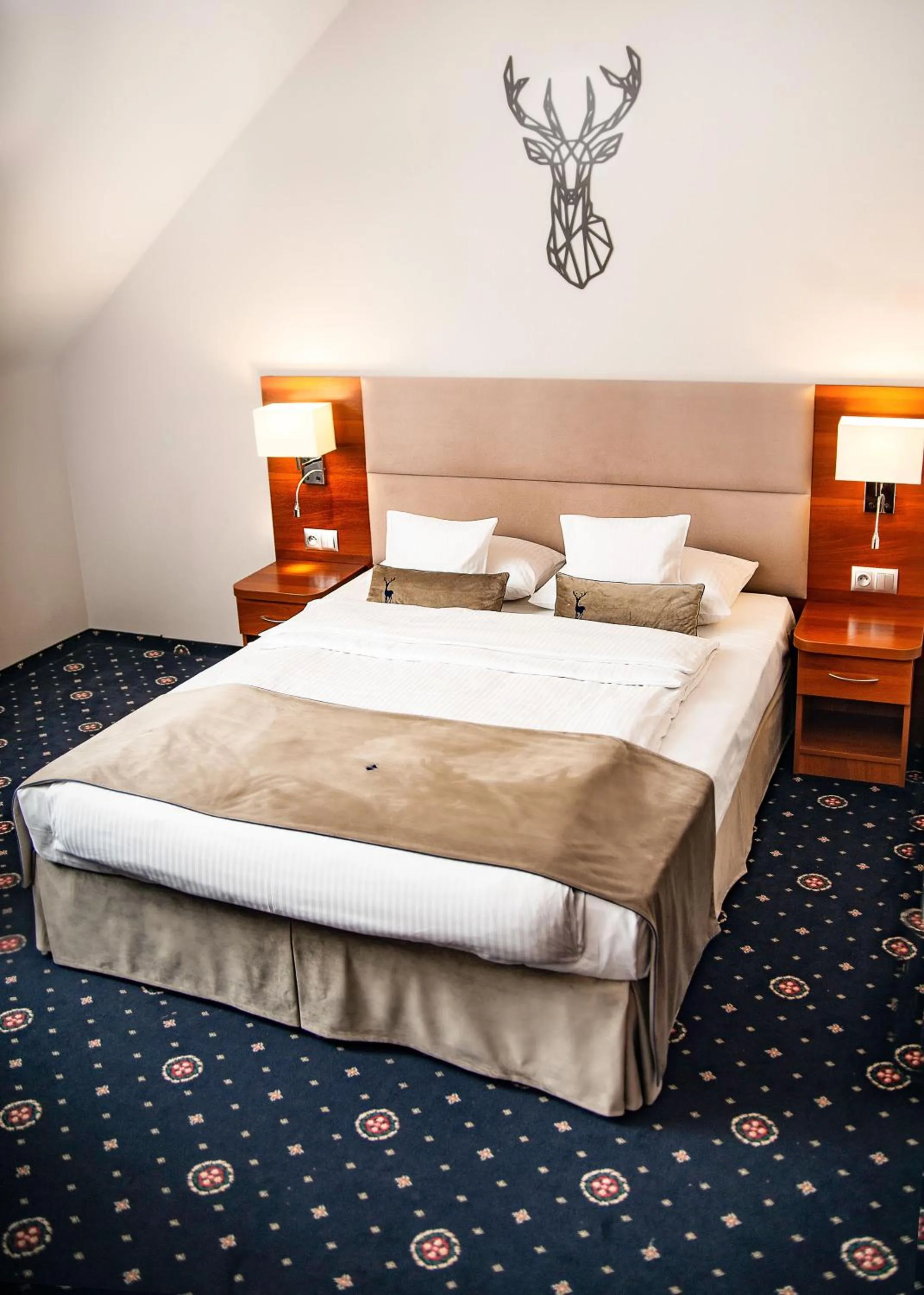 Junior Suite in ParkHotel Łysoń