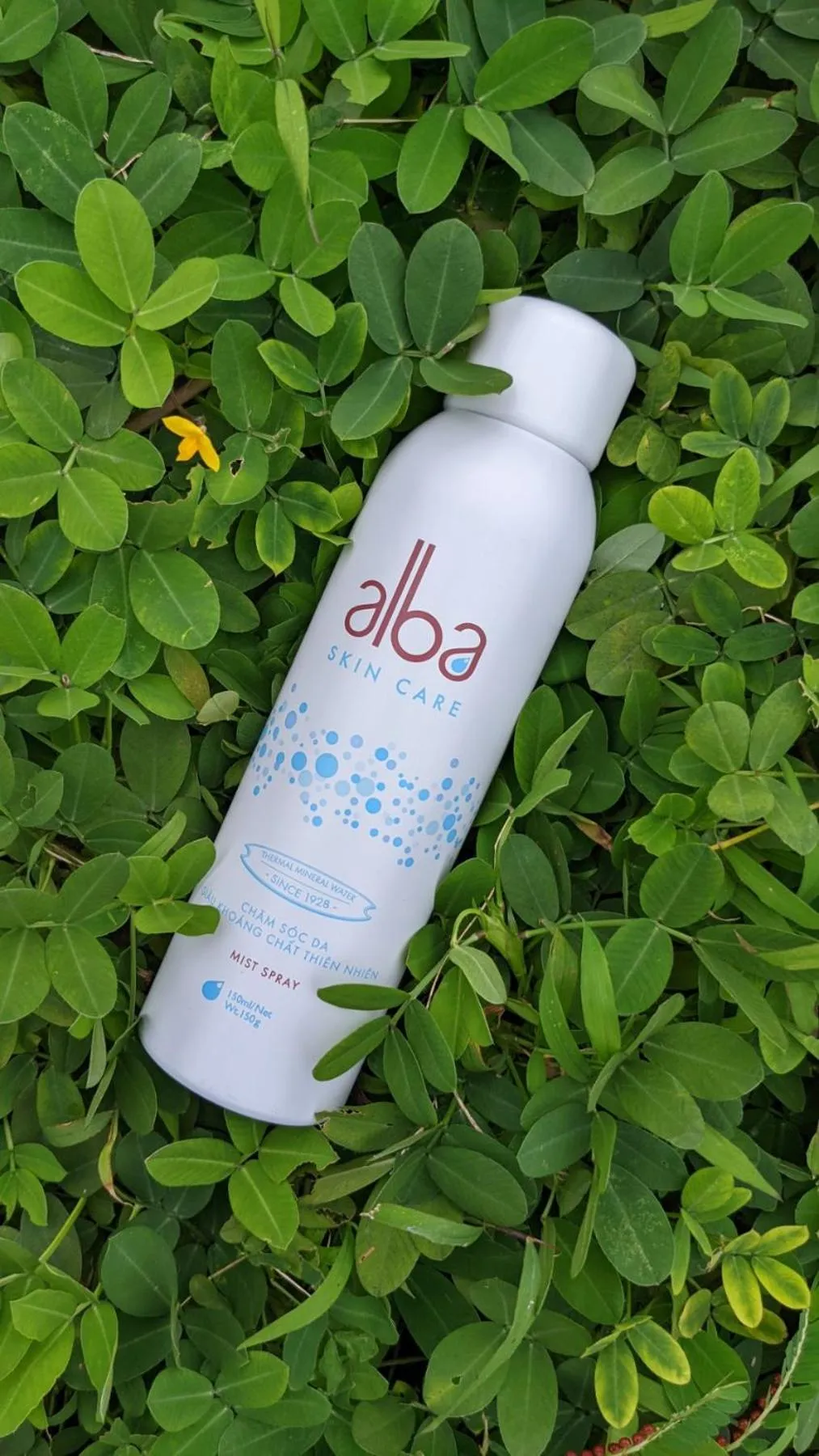 Wellness Room Including Spa and Meditation in Alba Spa Hotel