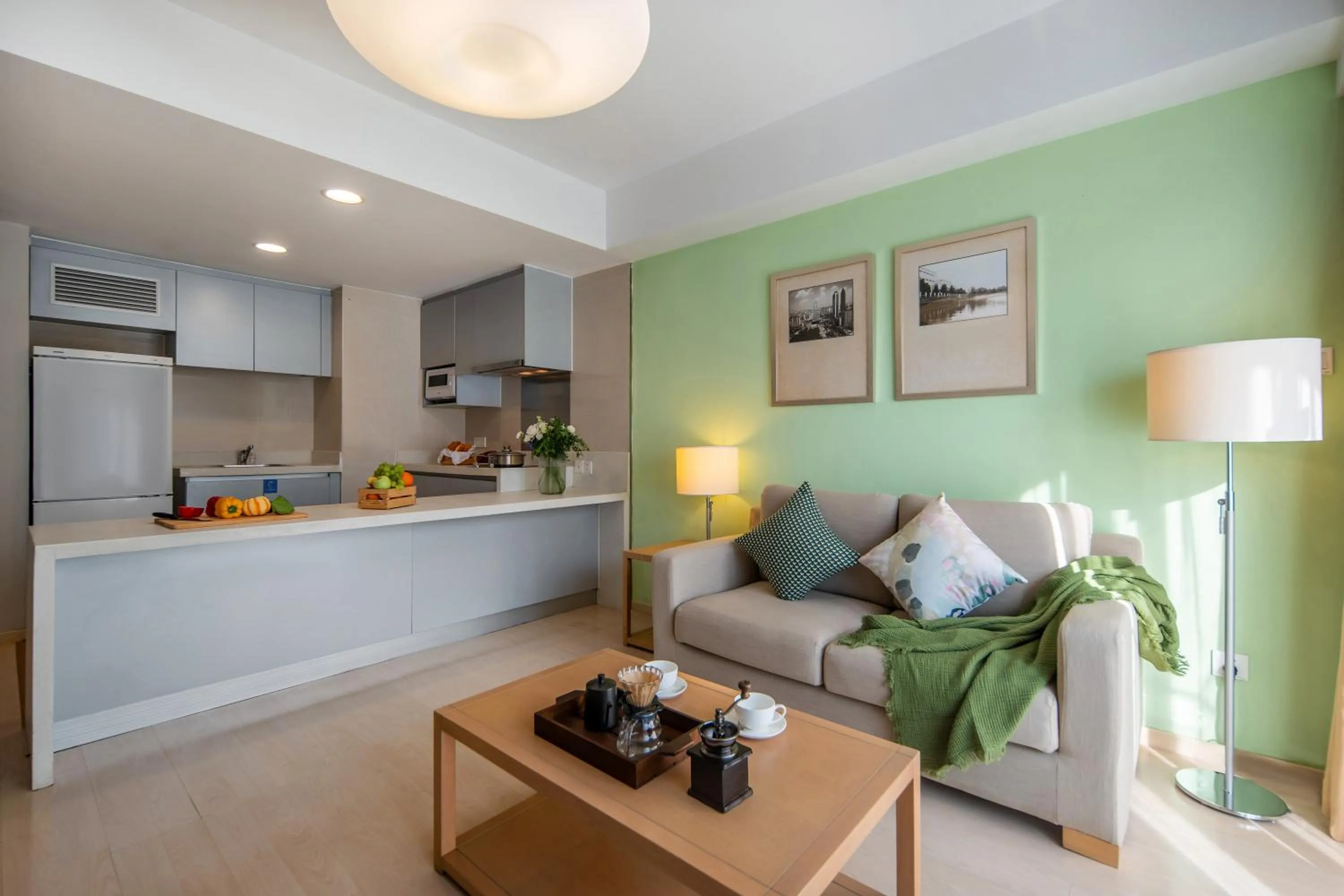 Executive One-Bedroom Apartment in Citadines Zhuankou Wuhan