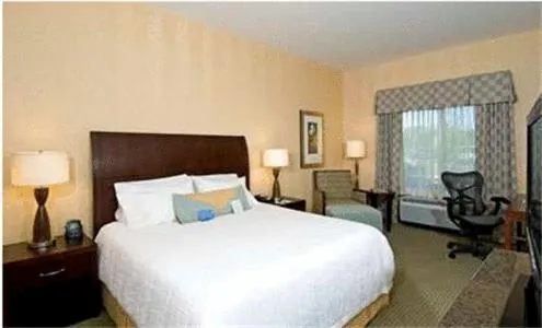 King Suite with Shower - Mobility/Hearing Accessible in Hilton Garden Inn Mount Holly/Westampton