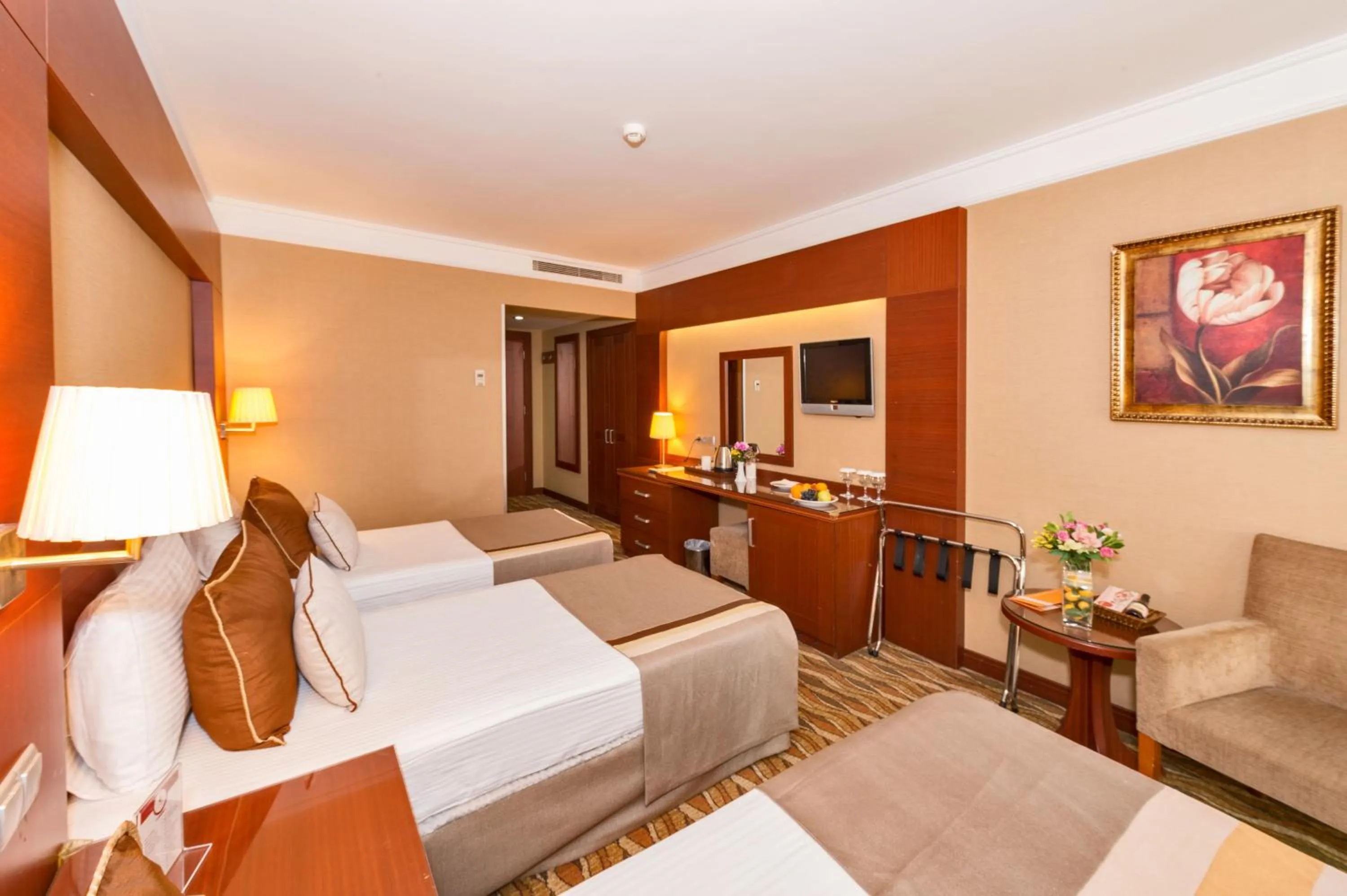 Triple Room in Vicenza Hotel Istanbul Old City