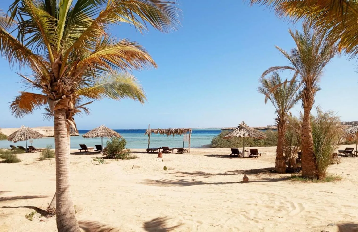 Bungalow with Sea View - single occupancy in Mangrove Bay Resort