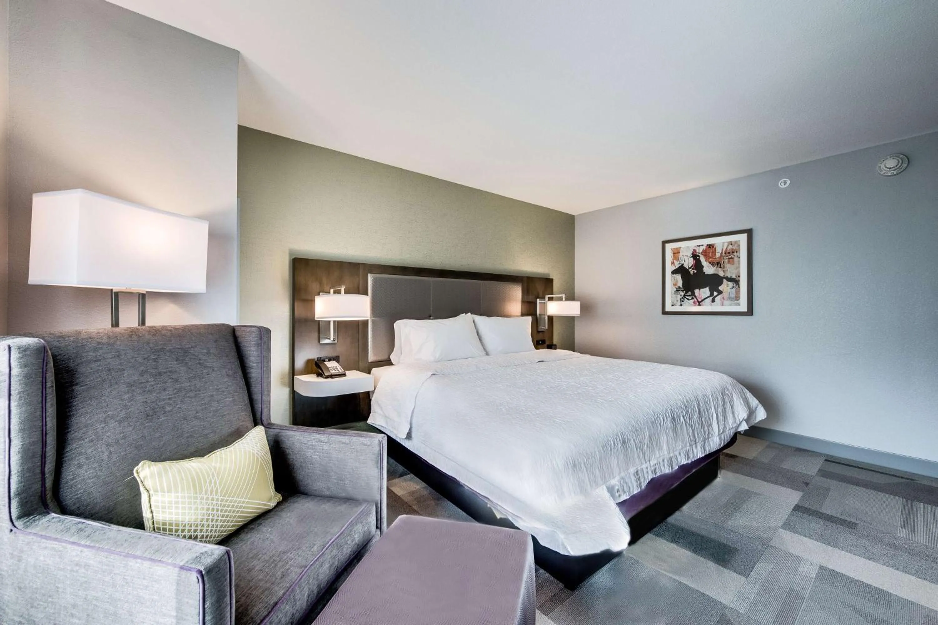 King Room with Tub - Mobility Access in Hampton Inn & Suites Fort Worth Downtown