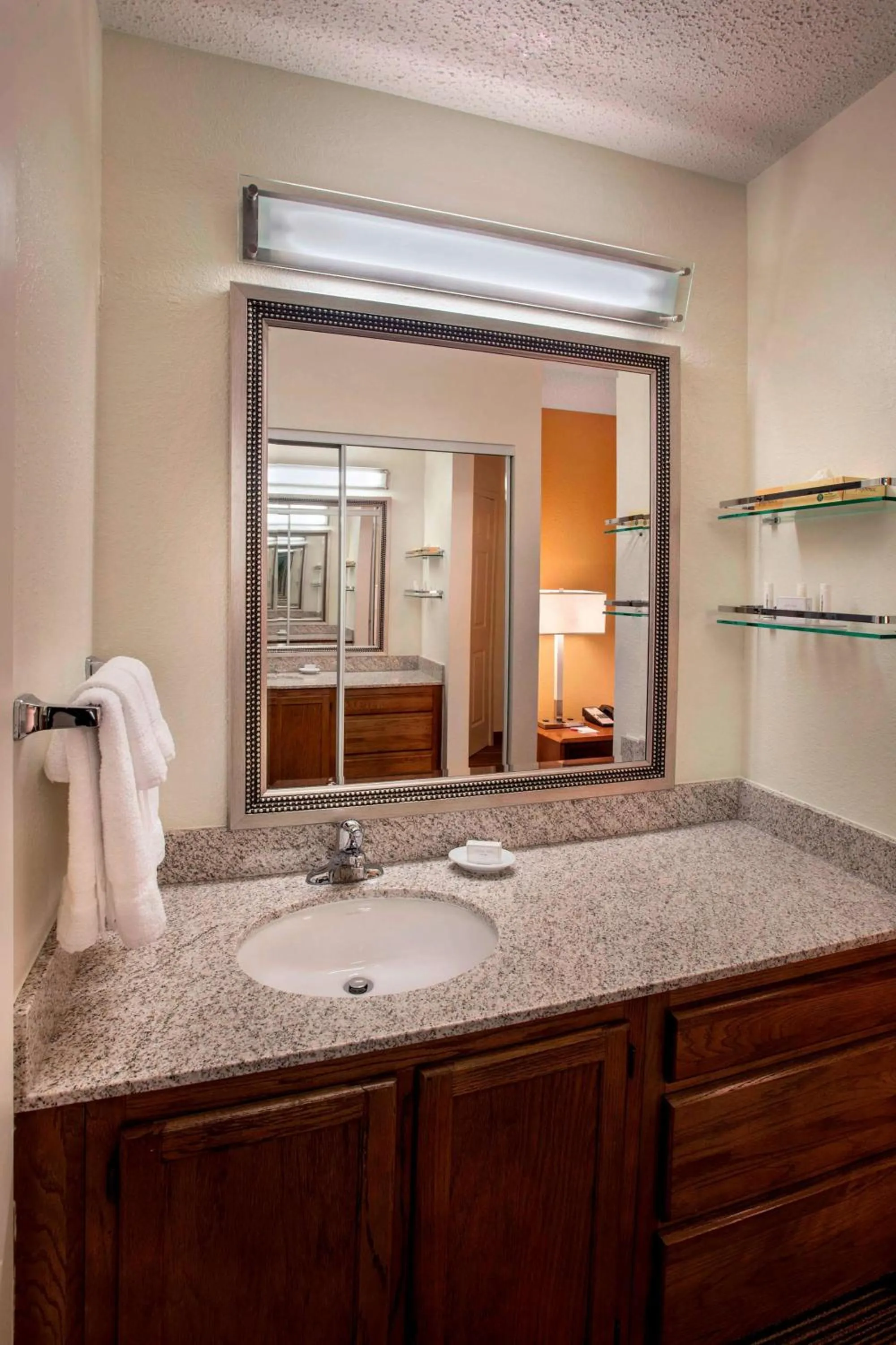 Studio Suite Queen in Sonesta ES Suites Allentown Bethlehem Airport