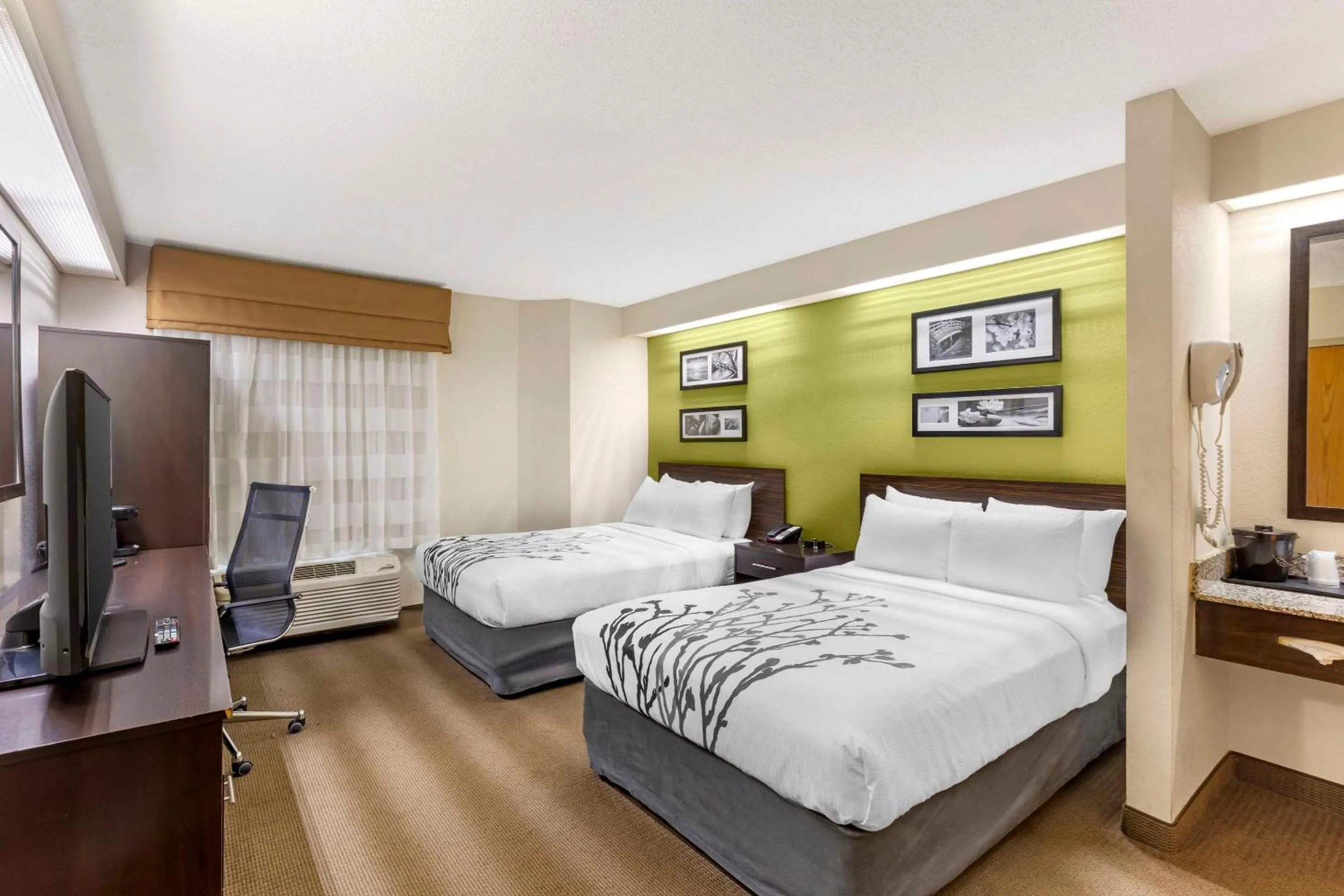 Double Room with Two Double Beds - Non-Smoking in Sleep Inn at Greenville Convention Center