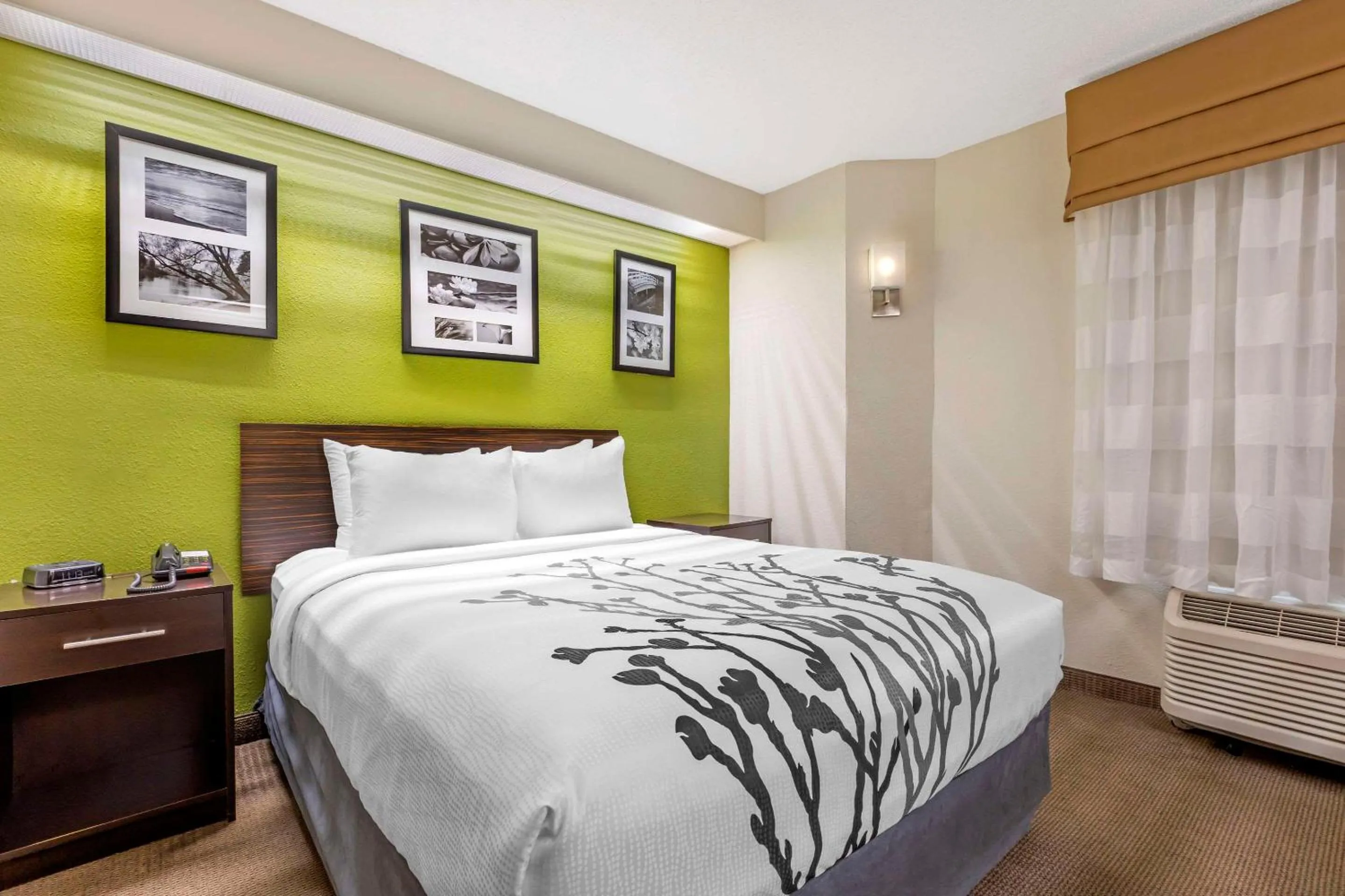 Queen Room with Roll-In Shower - Mobility Accessible/Non Smoking in Sleep Inn at Greenville Convention Center