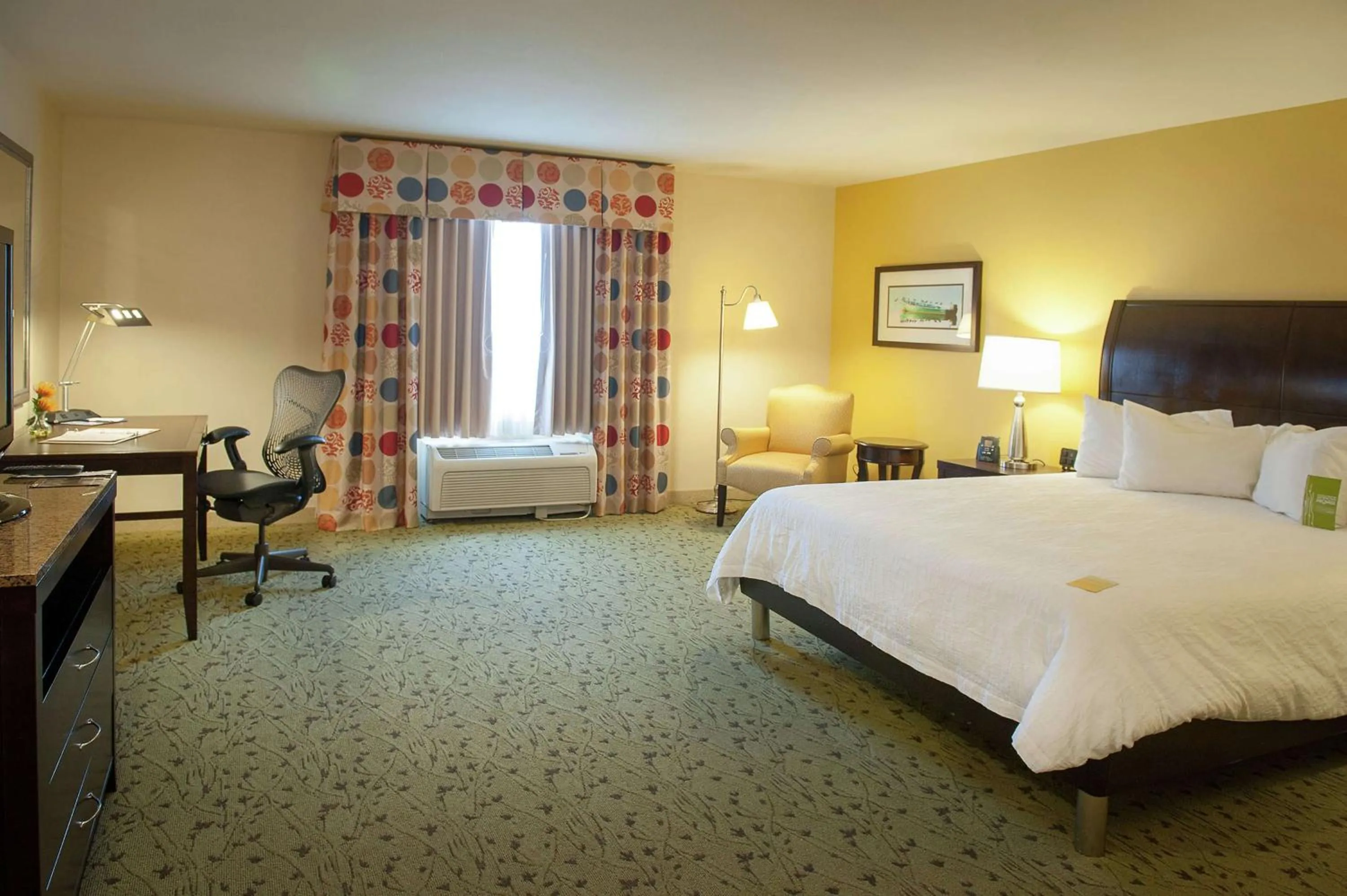 King Room with Bath Tub - Mobility Access in Hilton Garden Inn Pensacola Airport/Medical Center