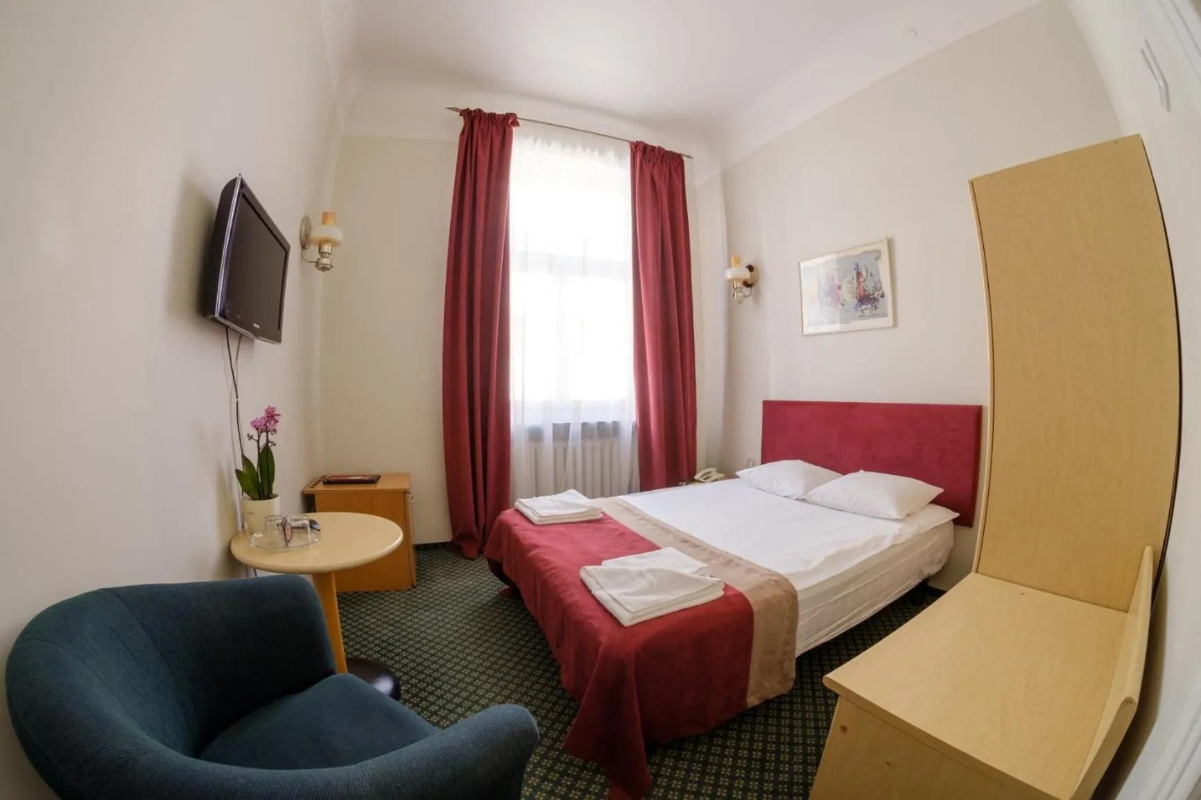 Single Room in Hotel Metropolis