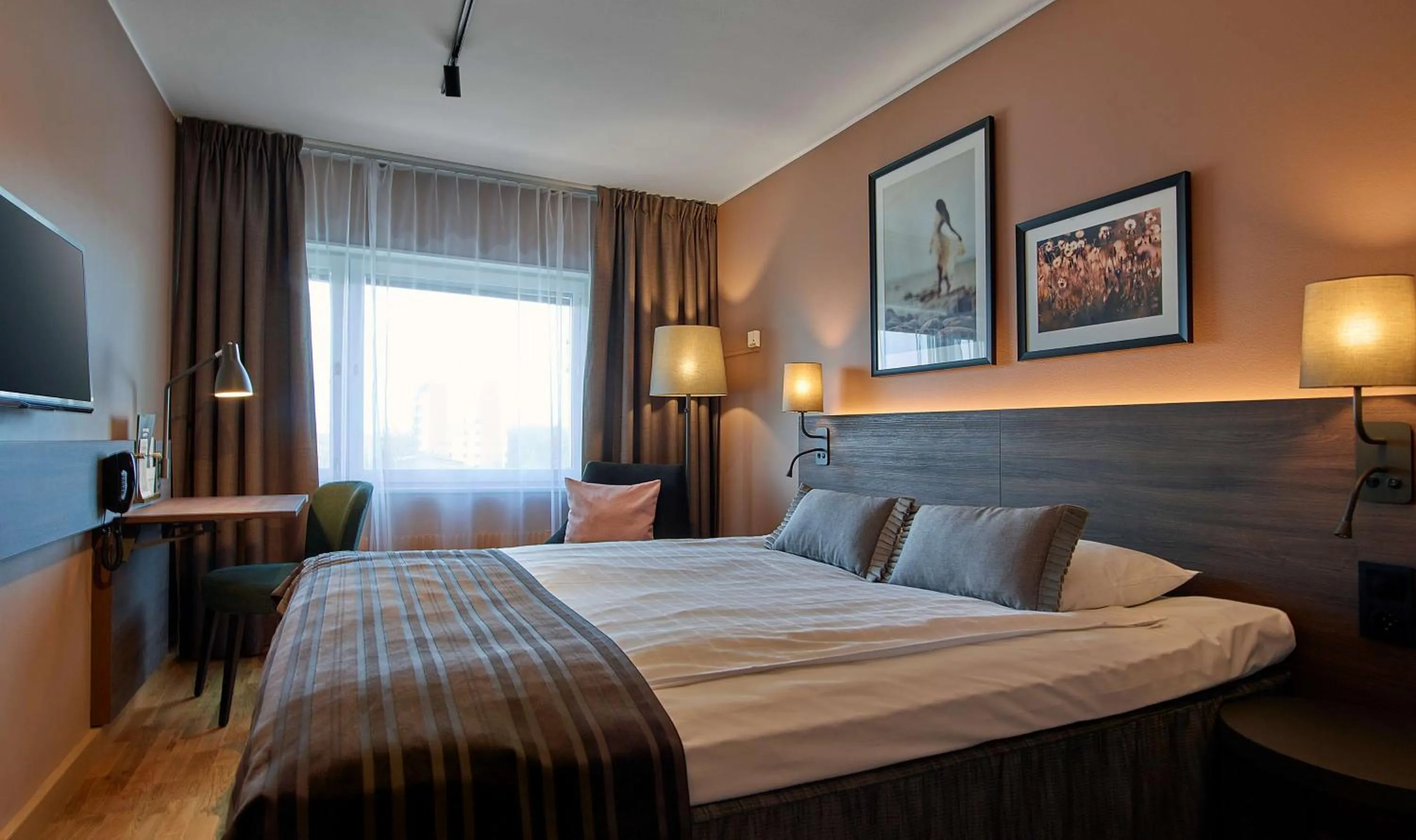 Standard Double Room in Scandic CH