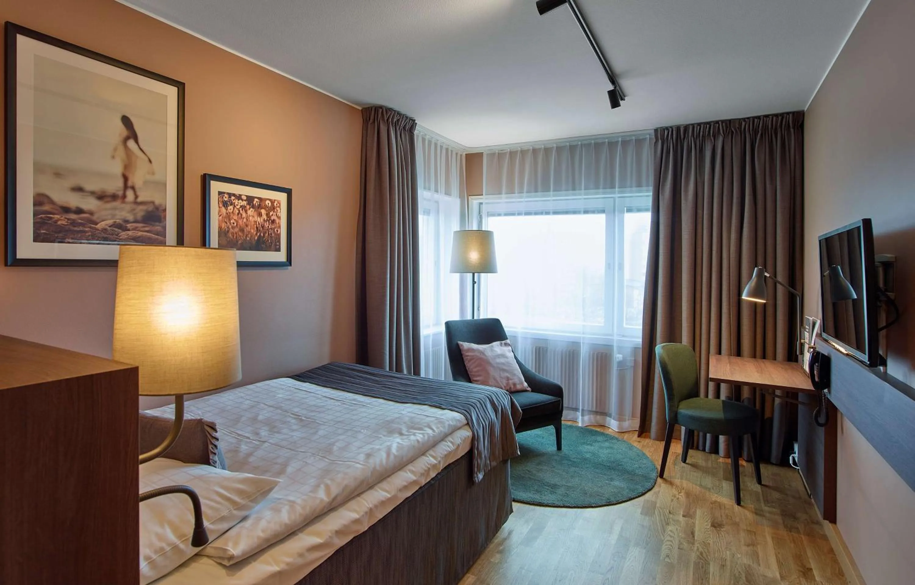 Single Room in Scandic CH