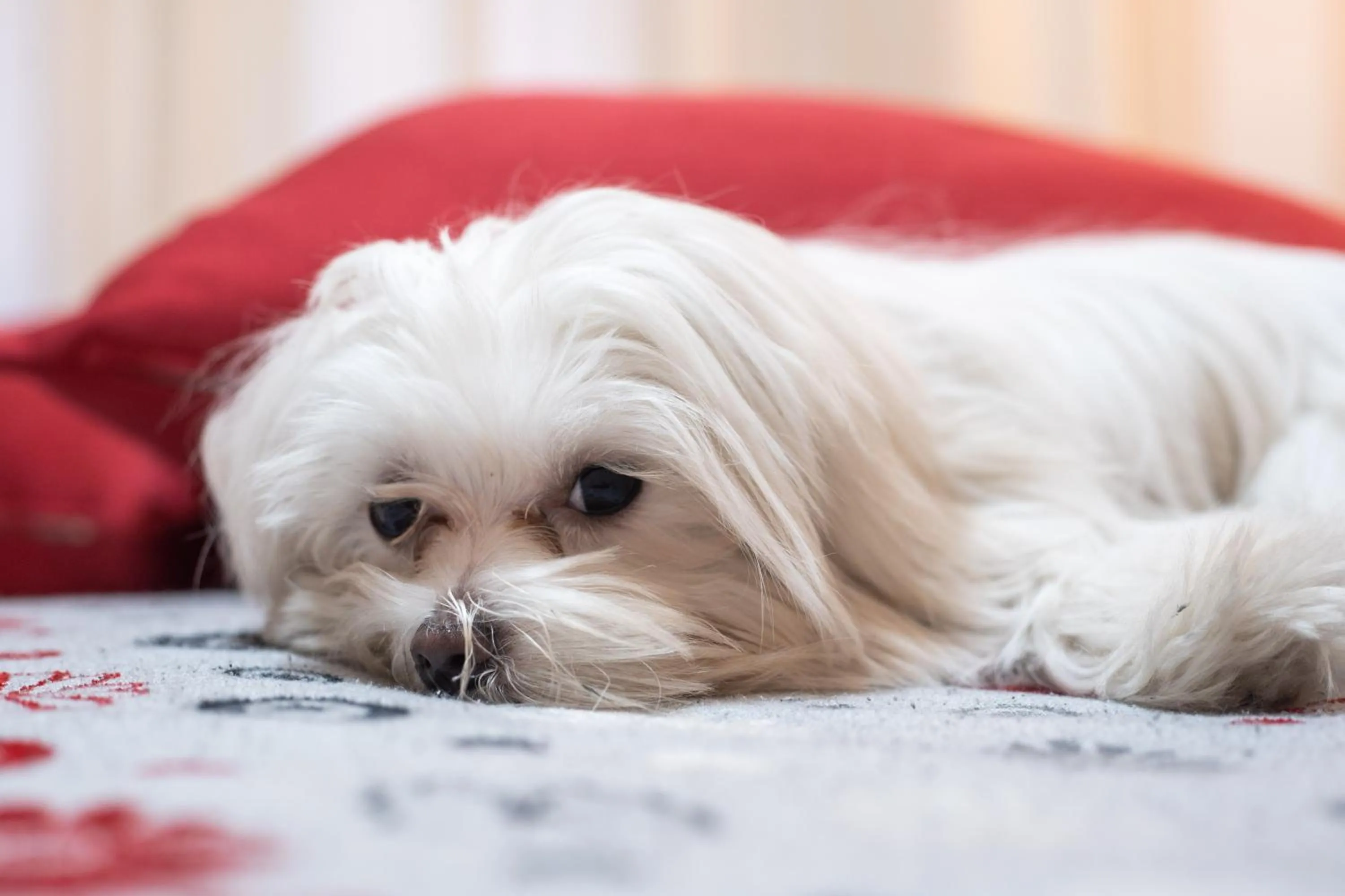 Double or Twin Room with Private External Toilet in Marta Inn