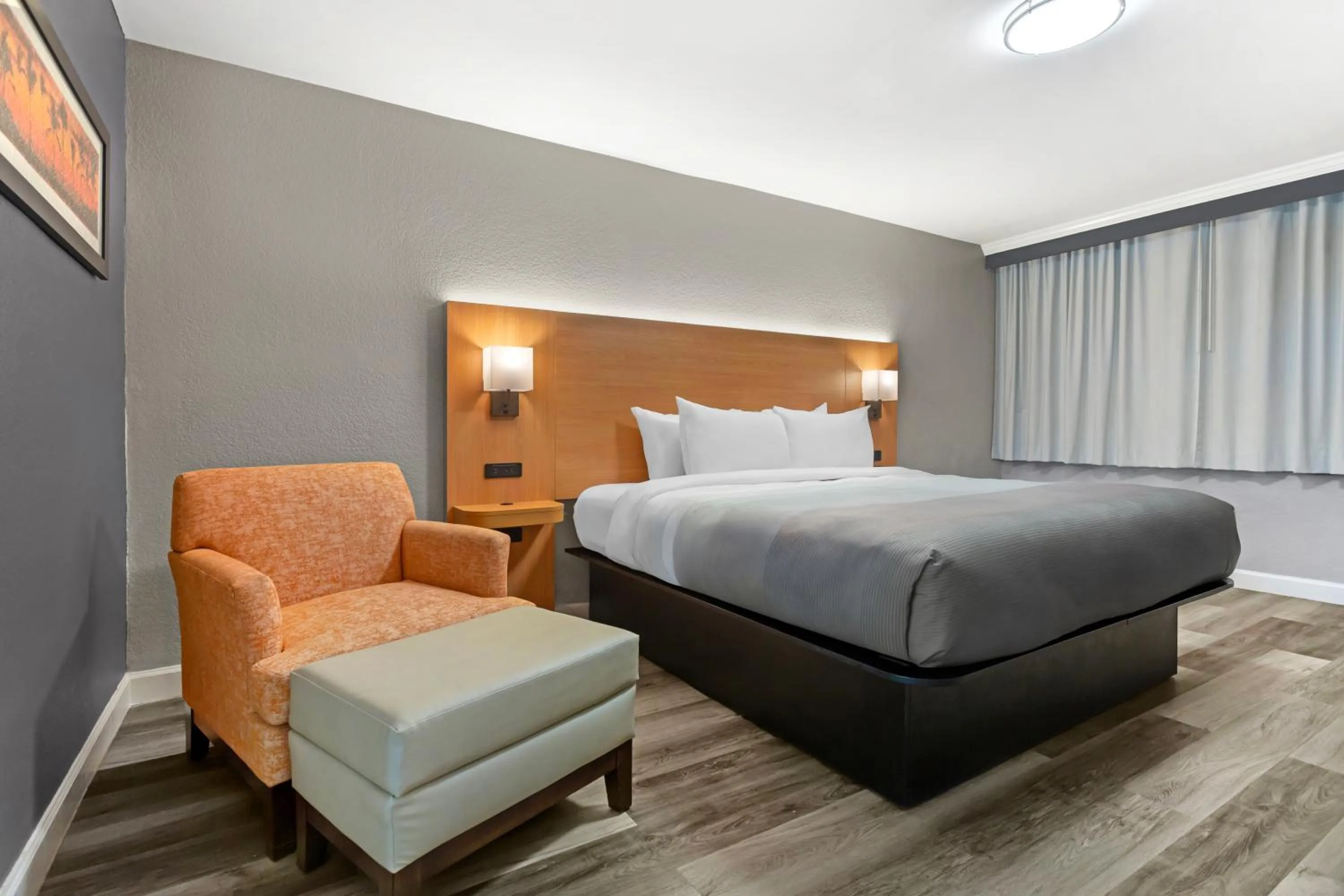 King Room - Accessible/Non-Smoking in Quality Inn and Conference Center Tampa-Brandon
