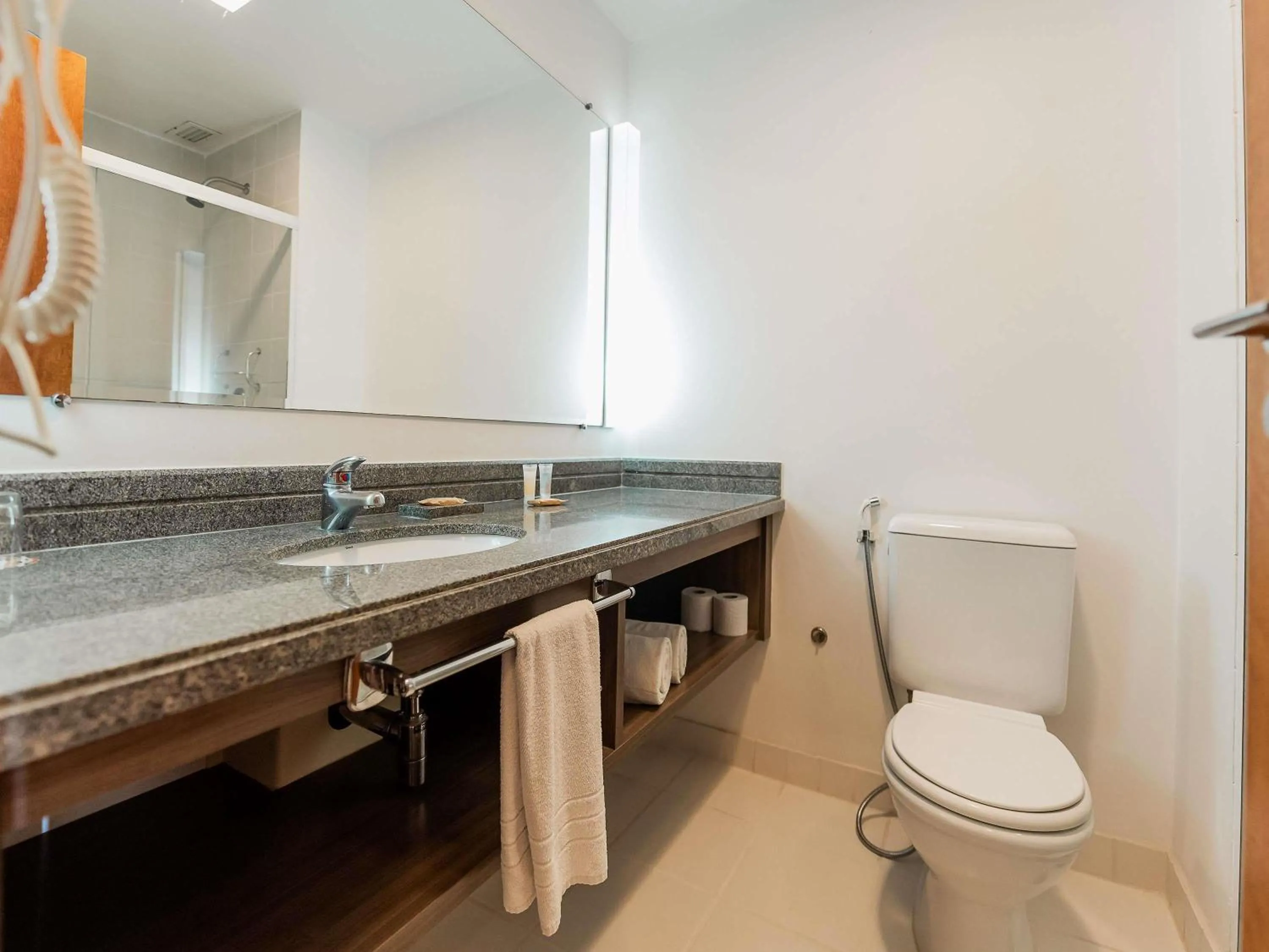 Standard Apartment with One Queen Bed in Ibis Styles Campinas Alphaville