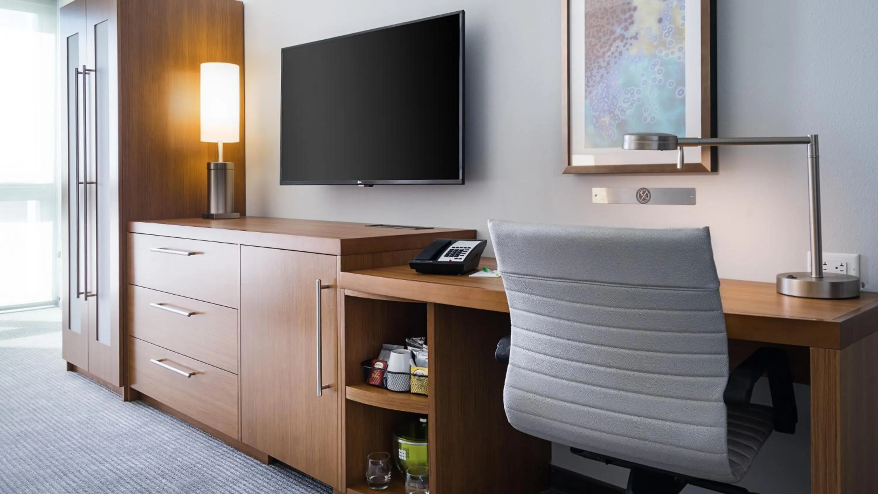 King Room with Sofa Bed and Roll-In Shower - Disability Access in Hyatt Place St. Petersburg/Downtown