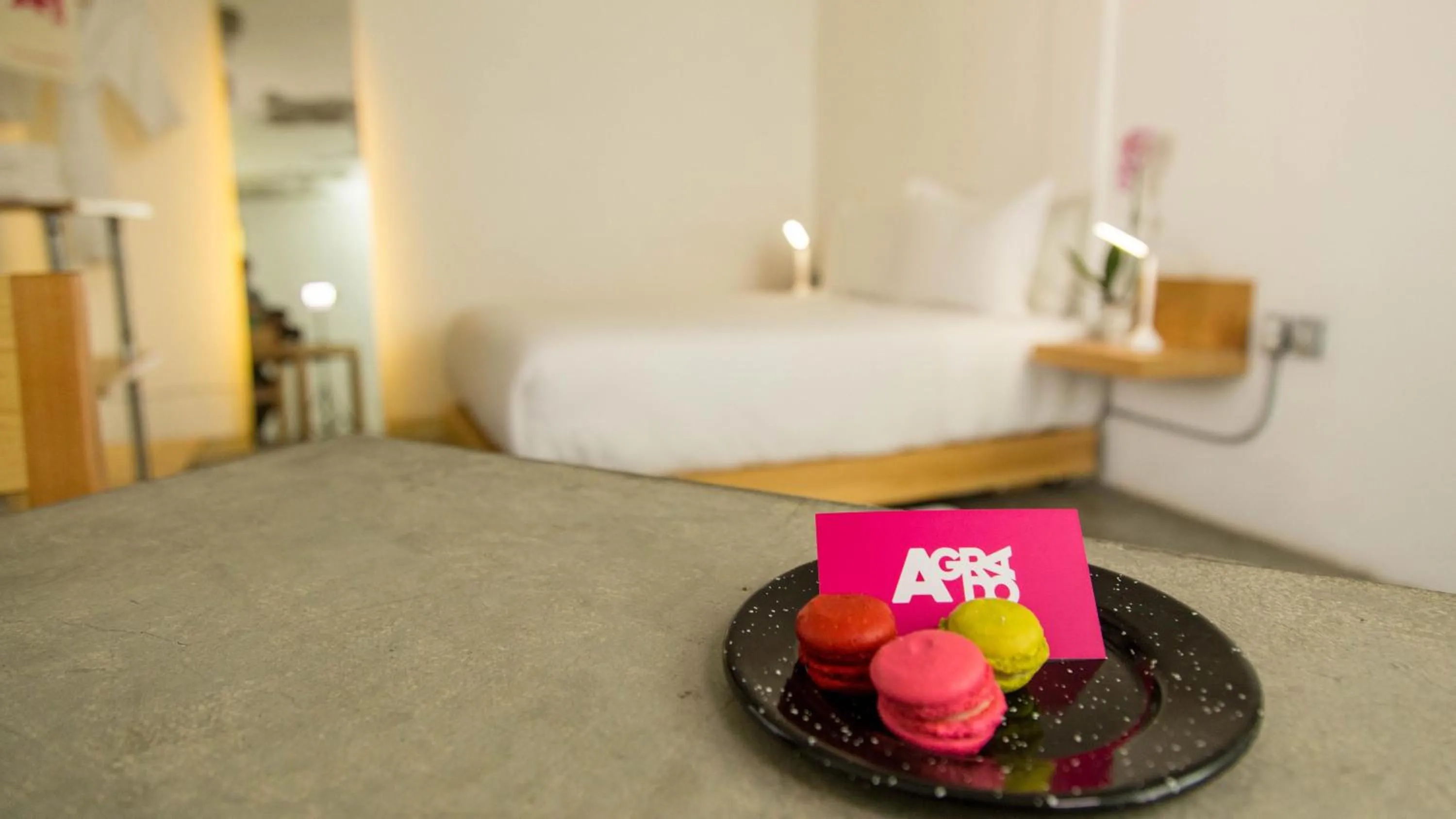 Loft with Terrace in Agrado Guest House