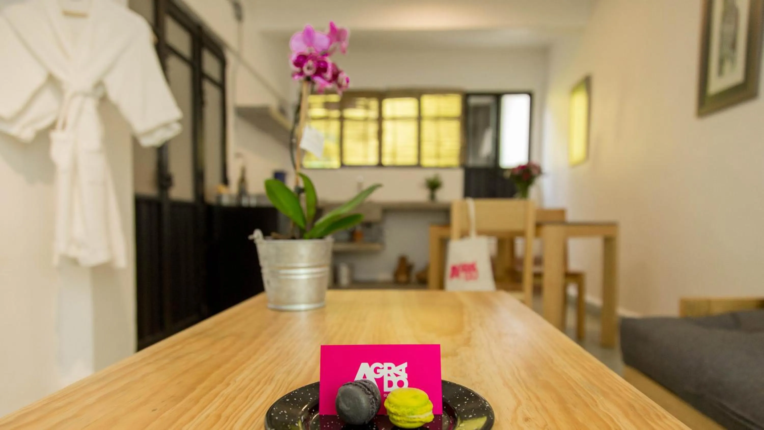 Loft with Private Patio in Agrado Guest House