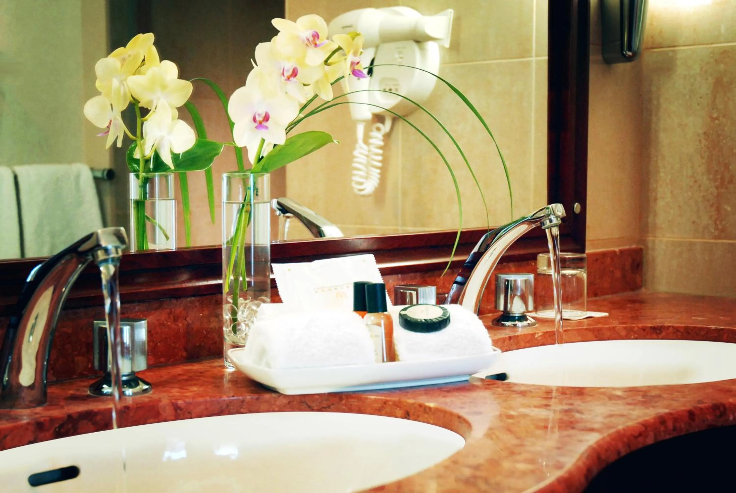 Deluxe Double or Twin Room - single occupancy in Evergreen Laurel Hotel