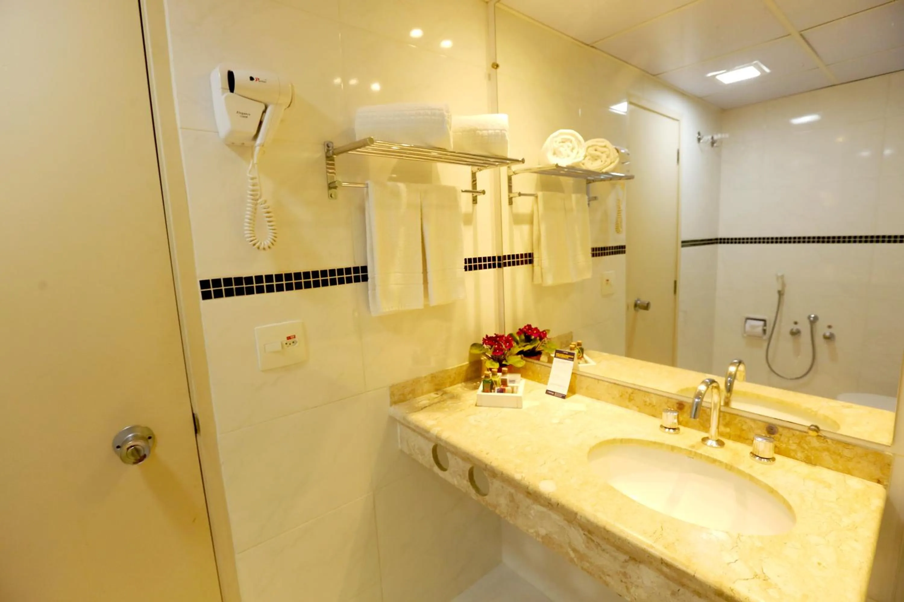 Deluxe King Room - single occupancy in Hotel Premium Campinas