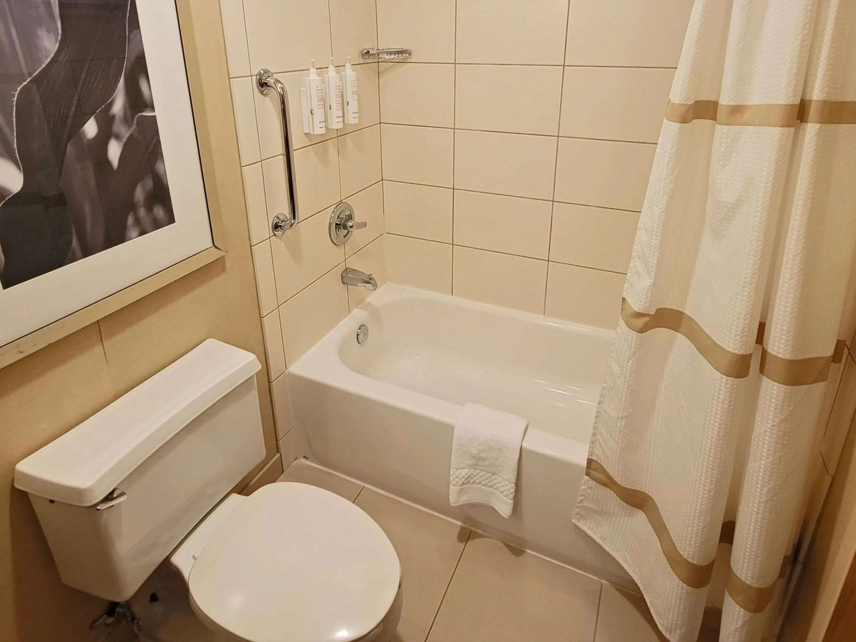 Quadruple Room - Disability Access/Non Smoking in Radisson Hotel Cedar Rapids