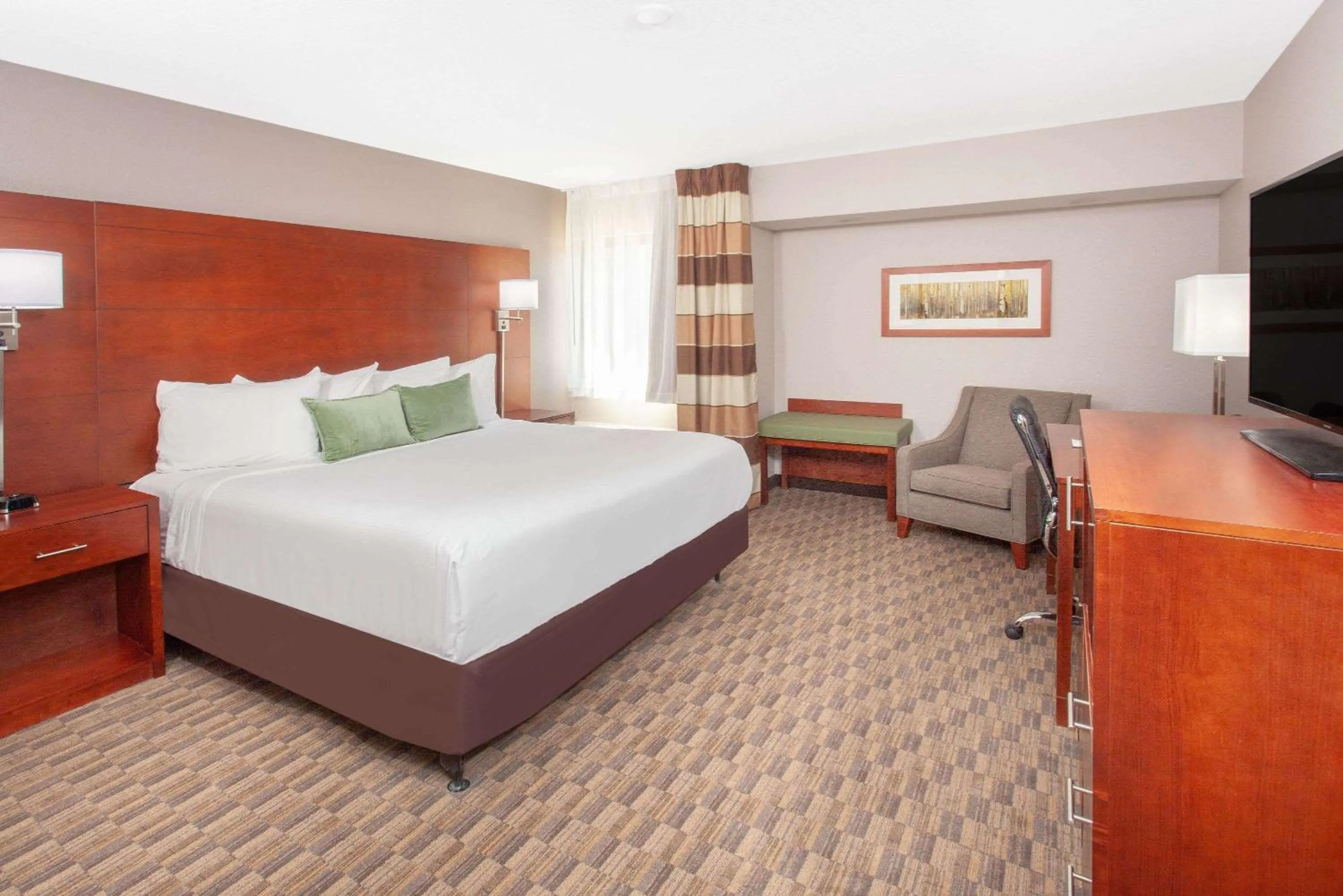 King Room - Mobility Access/Non-Smoking in Wyndham Garden Fort Wayne