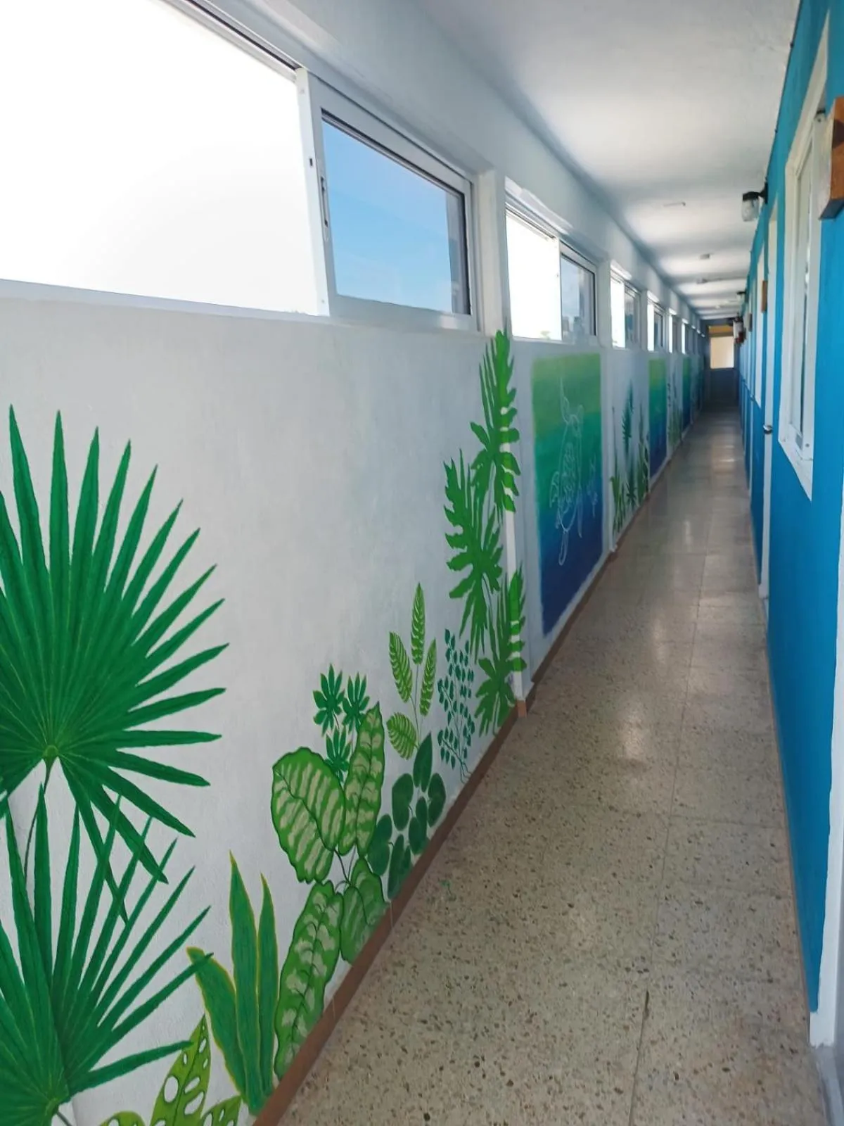 Economy Double Room in Blue Coconut Cancun Hotel