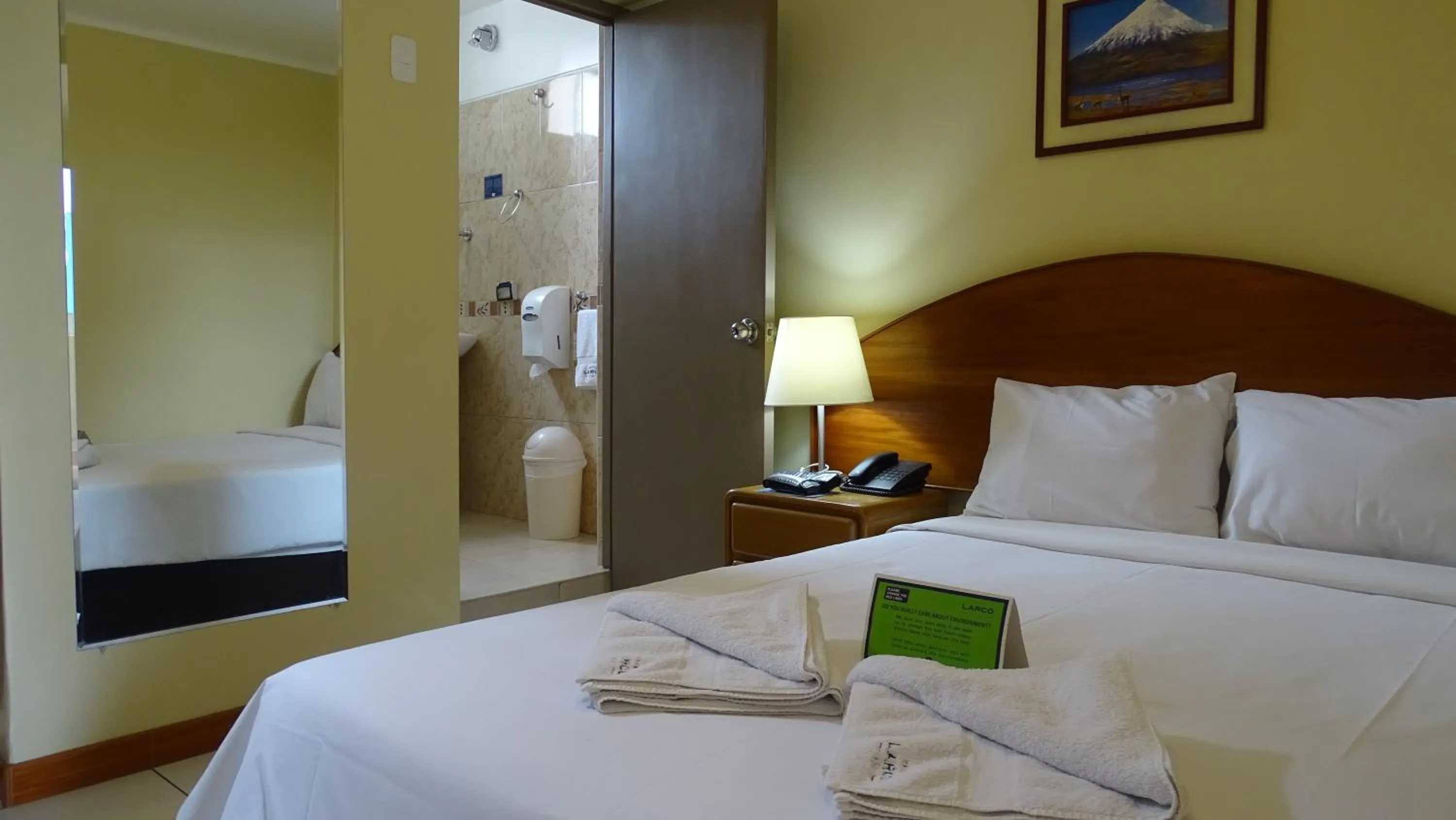 Budget Double Room with one bed - 7th Floor in Suites Larco 656 Miraflores Lima