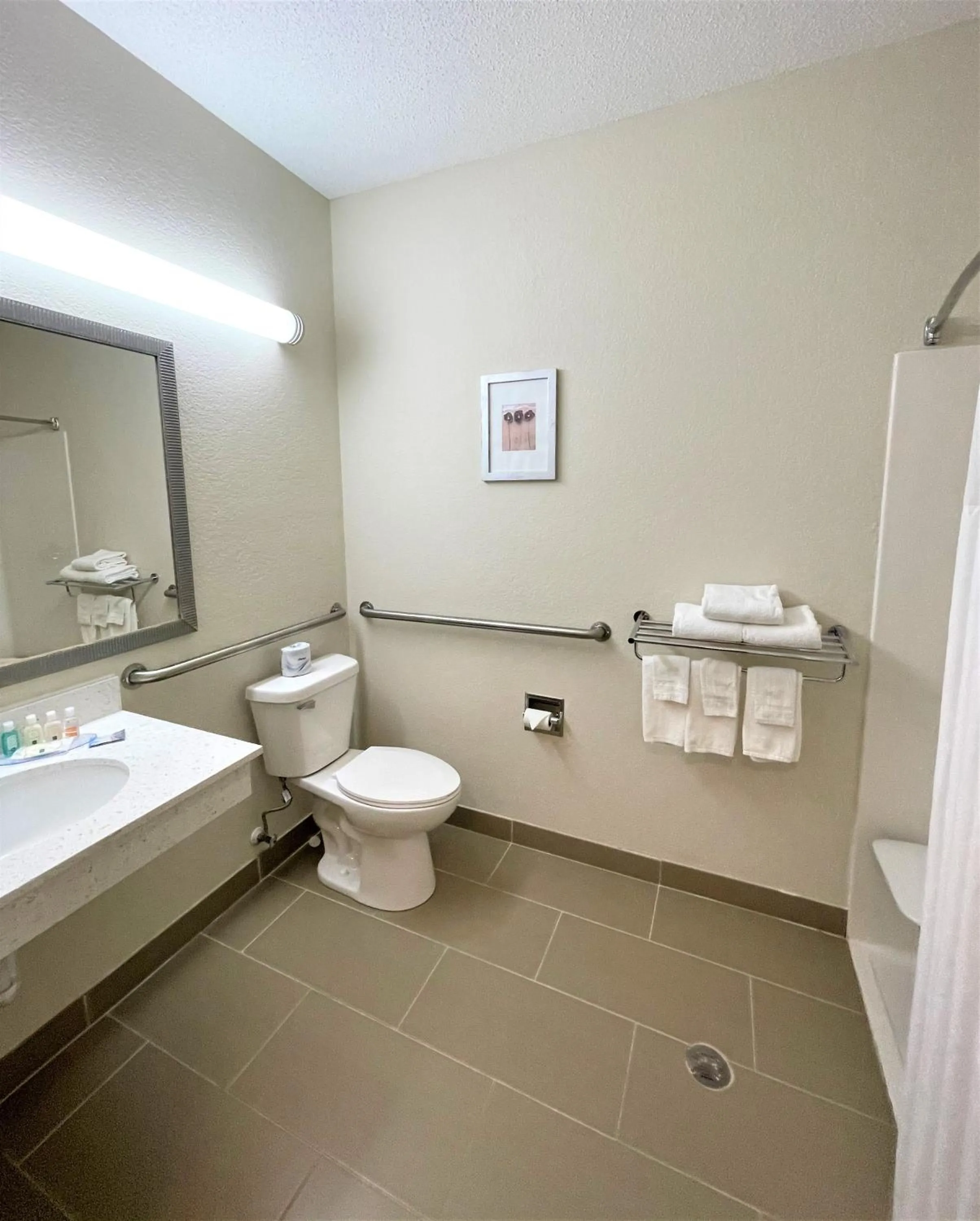 King Room - Accessible/Non-Smoking in Quality Inn & Suites