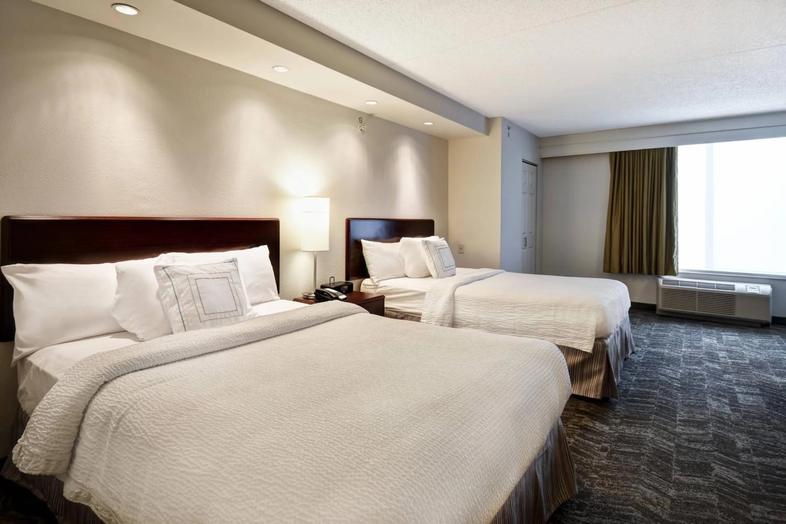 Double Studio with Sofa Bed and Adapted Tub - Mobility and Hearing Accessible in SpringHill Suites Louisville Airport