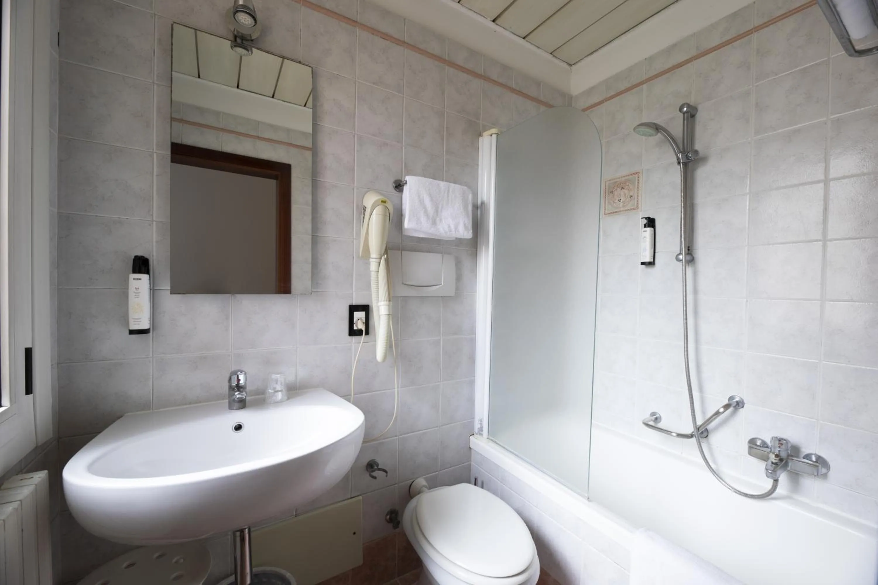 Single Room in Hotel Vienna