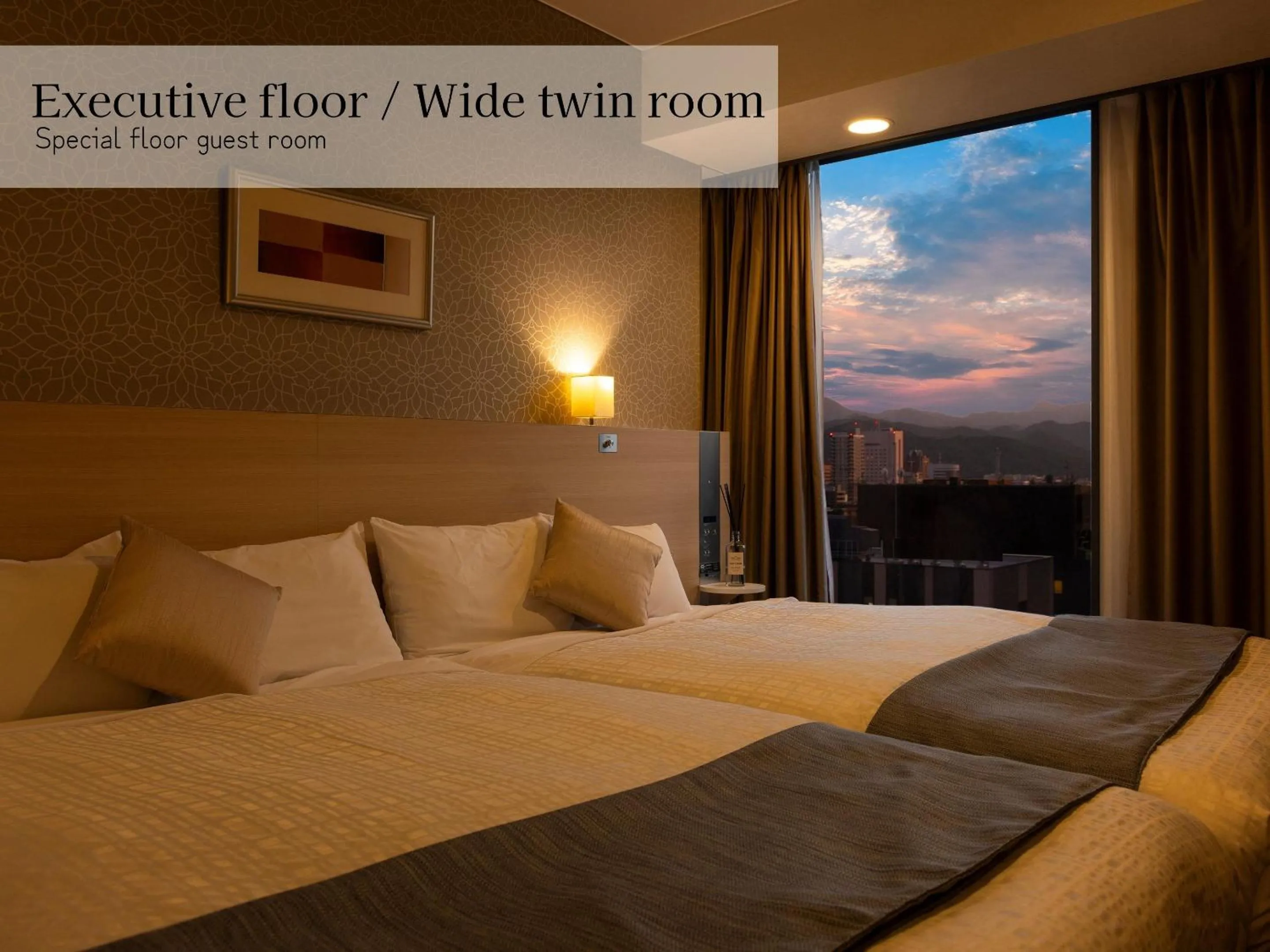 Executive floor Wide Bed Twin room nonsmoking - single occupancy in Hotel Gracery Sapporo