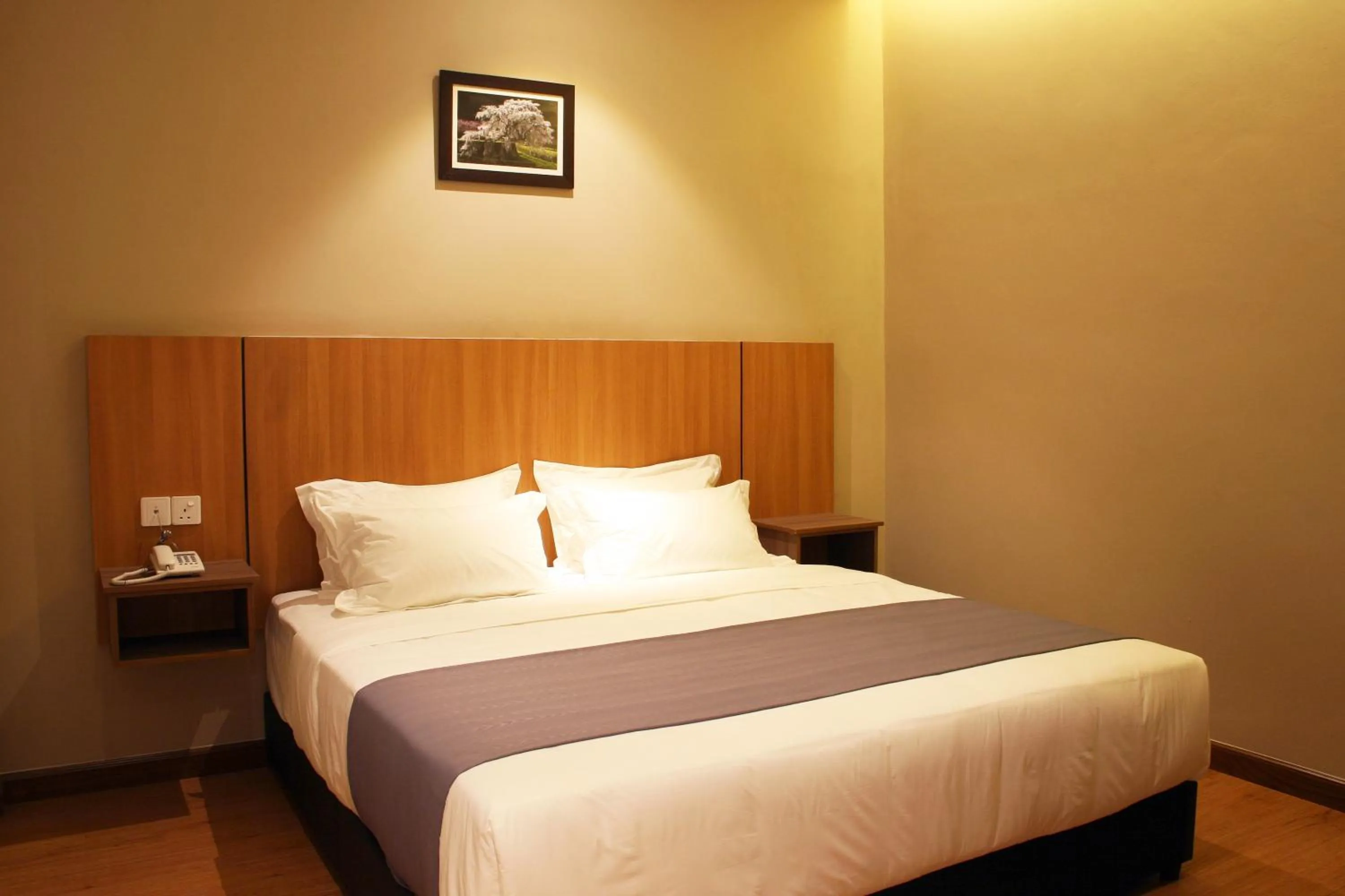 Standard King Room (No Window) in Ahyu Hotel