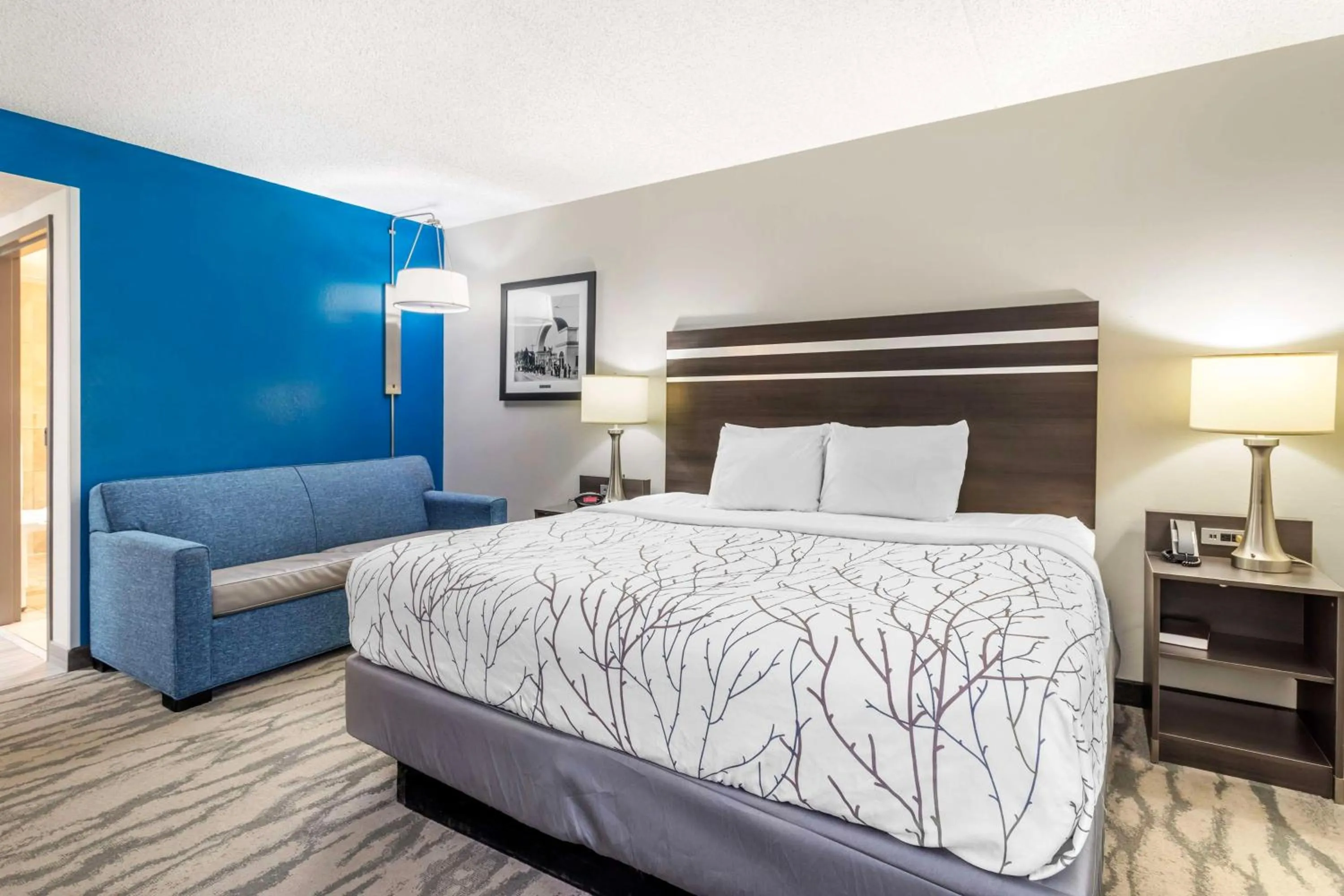 King Room with Roll-in Shower - Mobility Accessible/Non-Smoking in Best Western Plus Knoxville Cedar Bluff