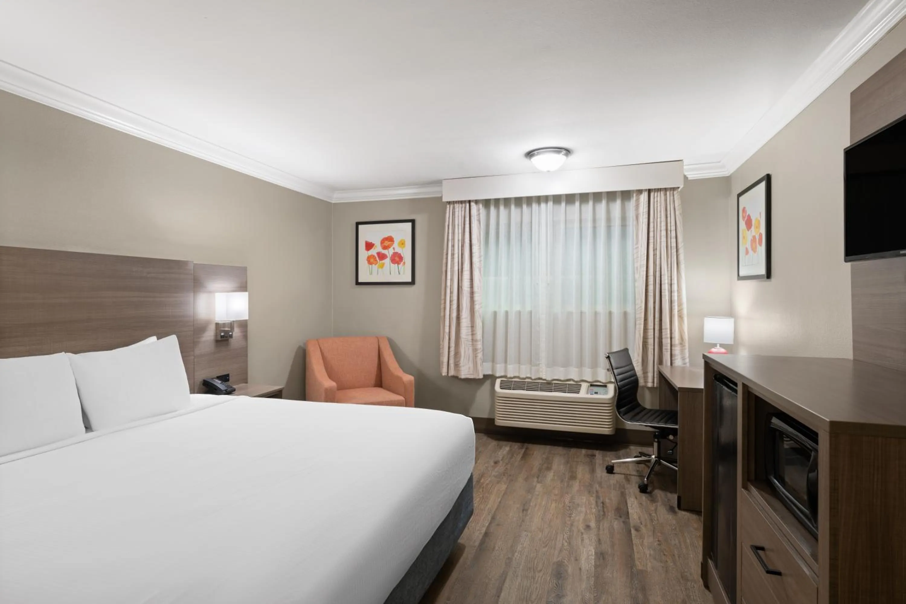 King Room - Non-Smoking in Solara Inn and Suites