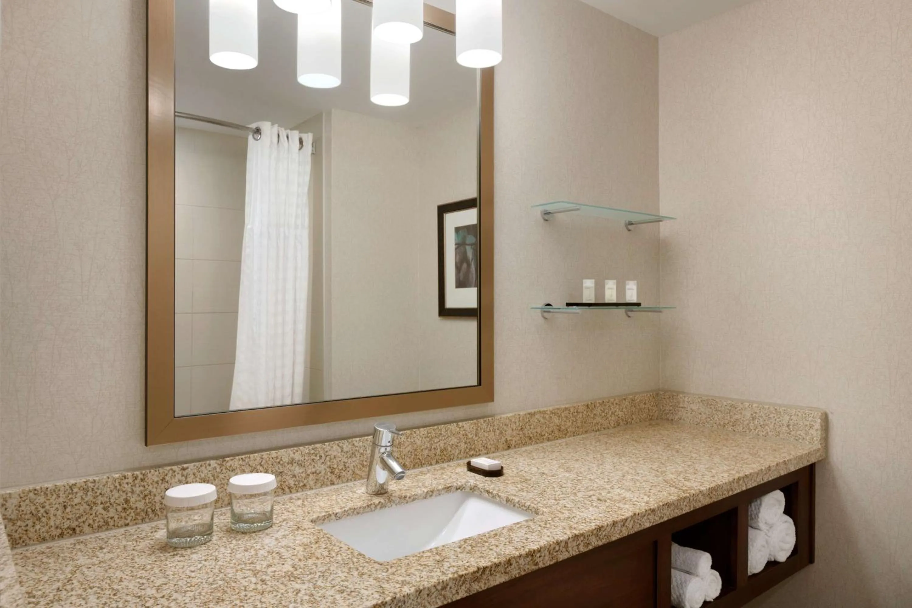 Premium Queen Suite with Two Queen Beds - Non-Smoking in Embassy Suites by Hilton Denver Downtown Convention Center