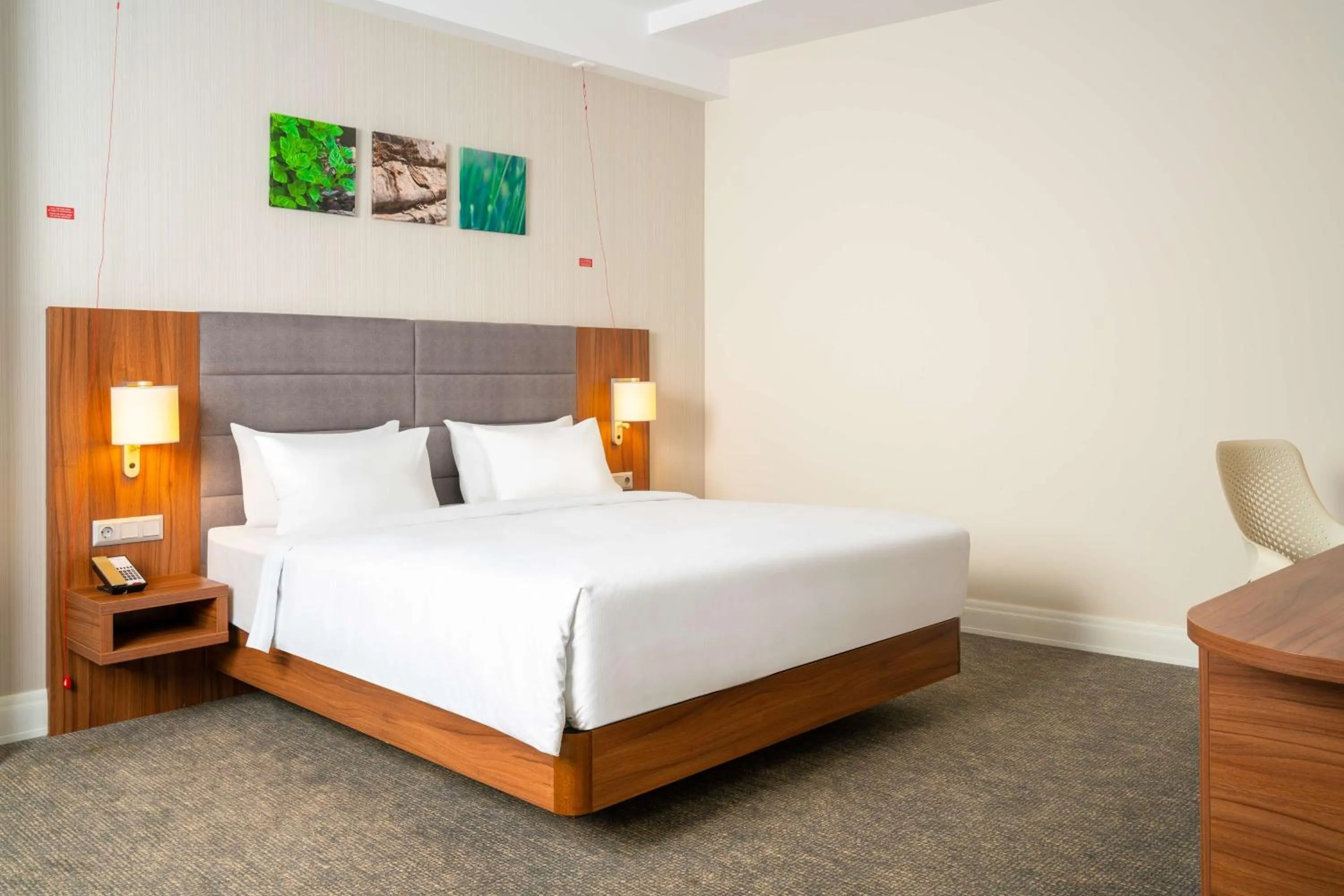 King Room - Mobility Accessible  in Hilton Garden Inn Bucharest Old Town