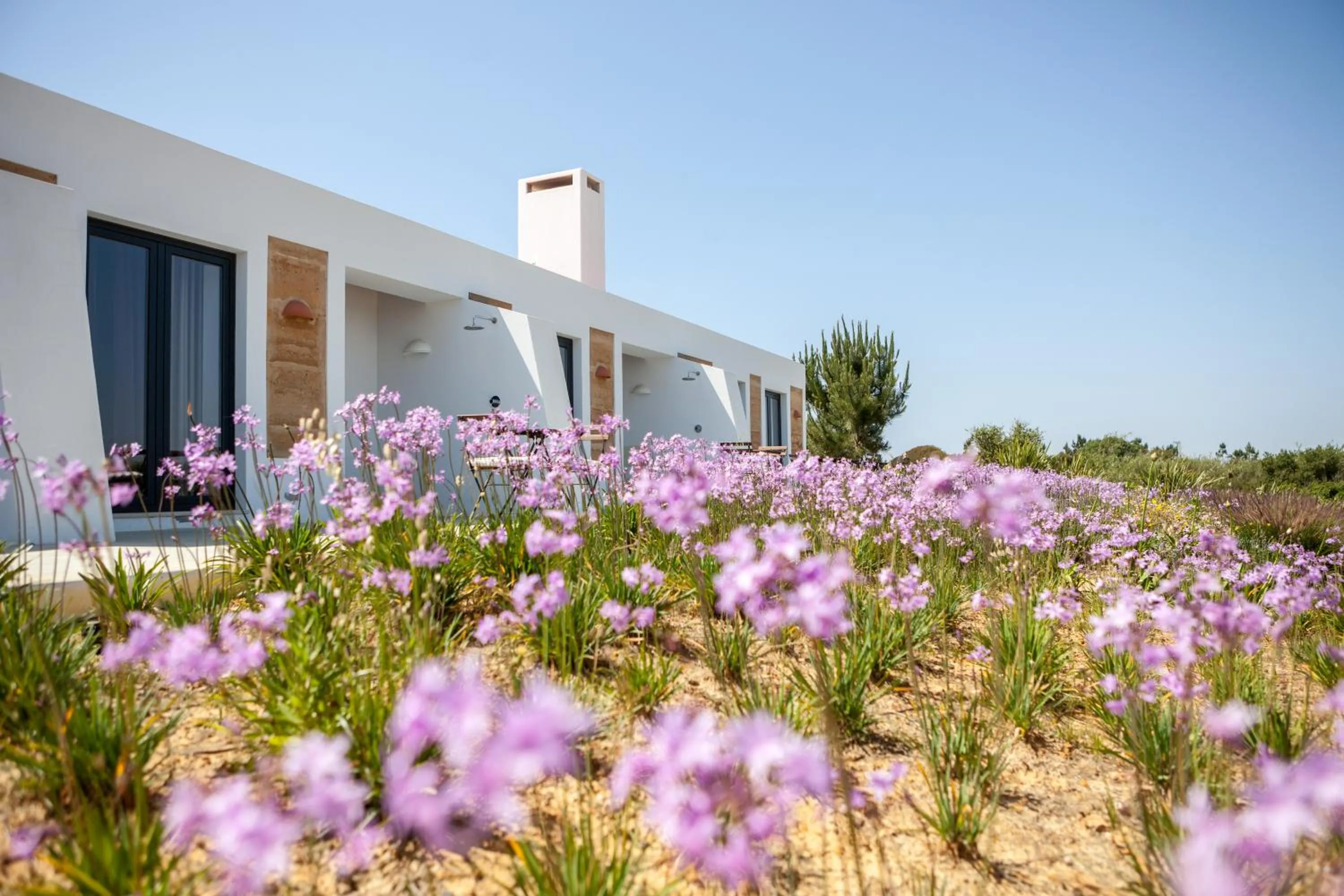 Deluxe King Room in Monte Do Zambujeiro