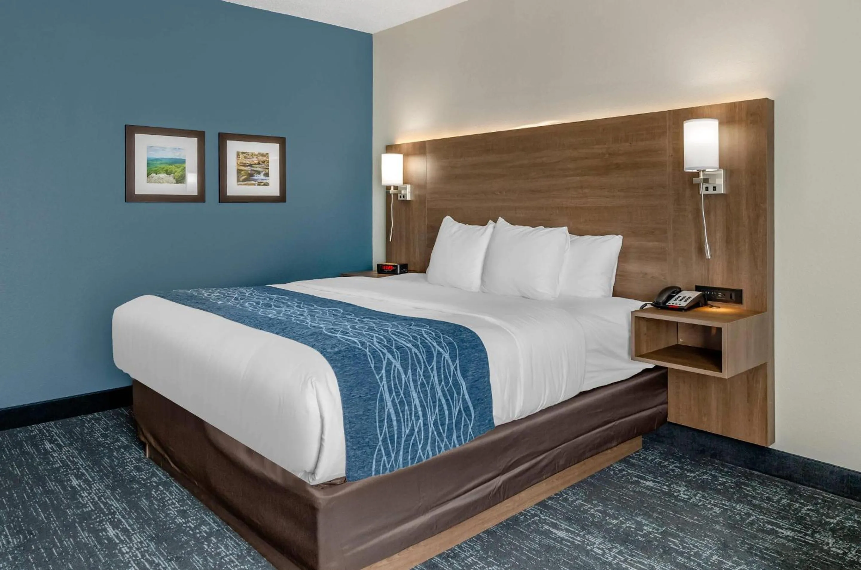 Standard King Room - Non-Smoking  in Comfort Inn & Suites Troutville-Roanoke North