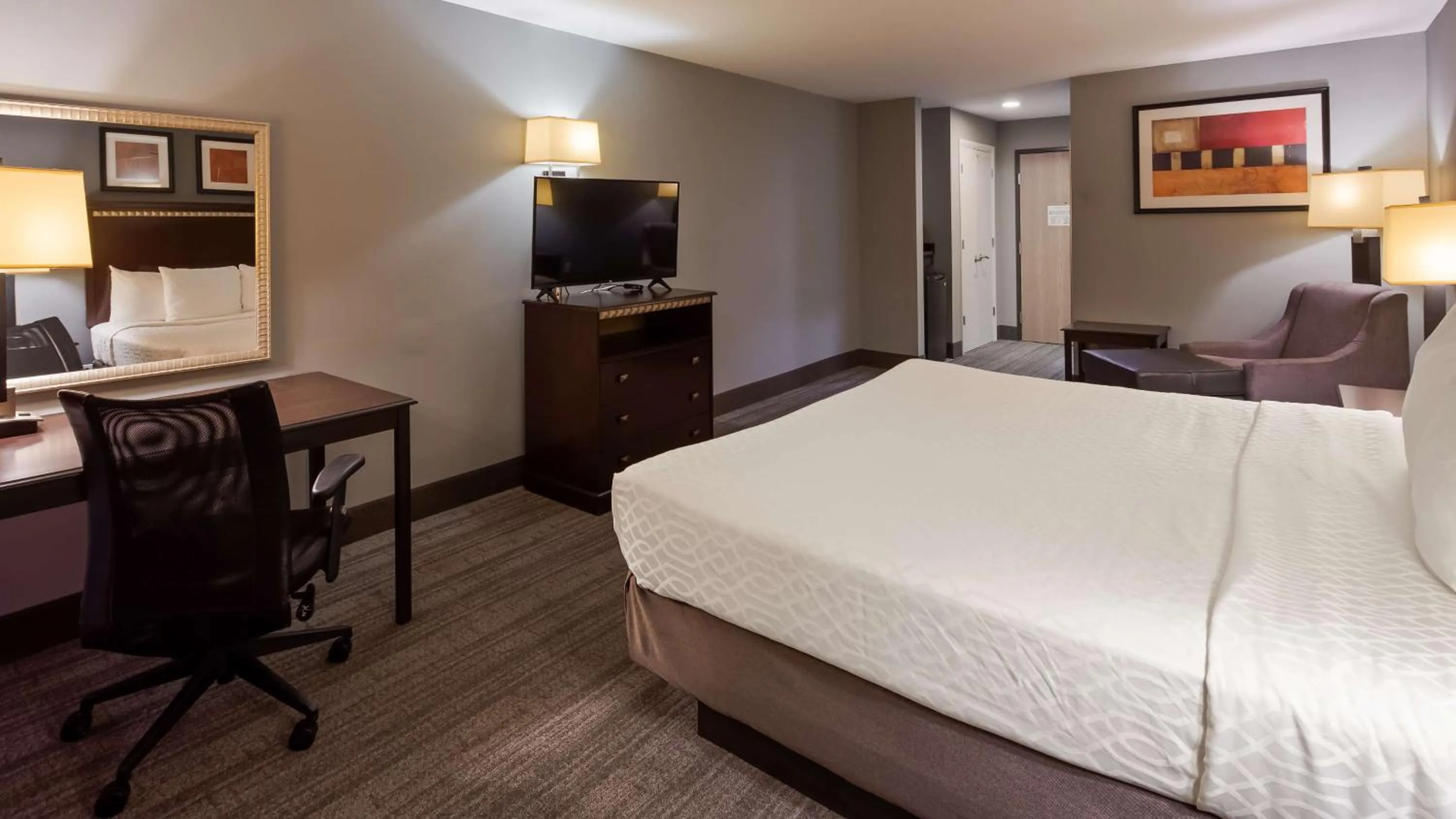 King Room with Roll-In Shower - Disability Access in Spark By Hilton Oak Forest I-57