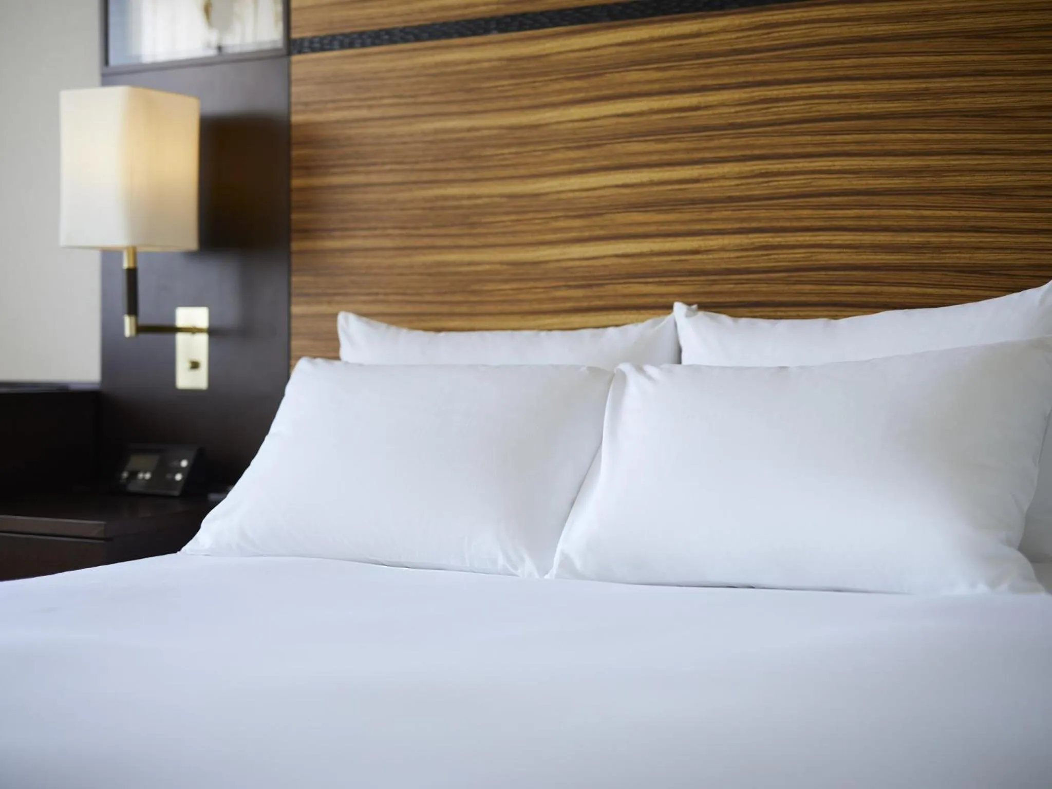 Standard Room - single occupancy in ANA Crowne Plaza Chitose by IHG