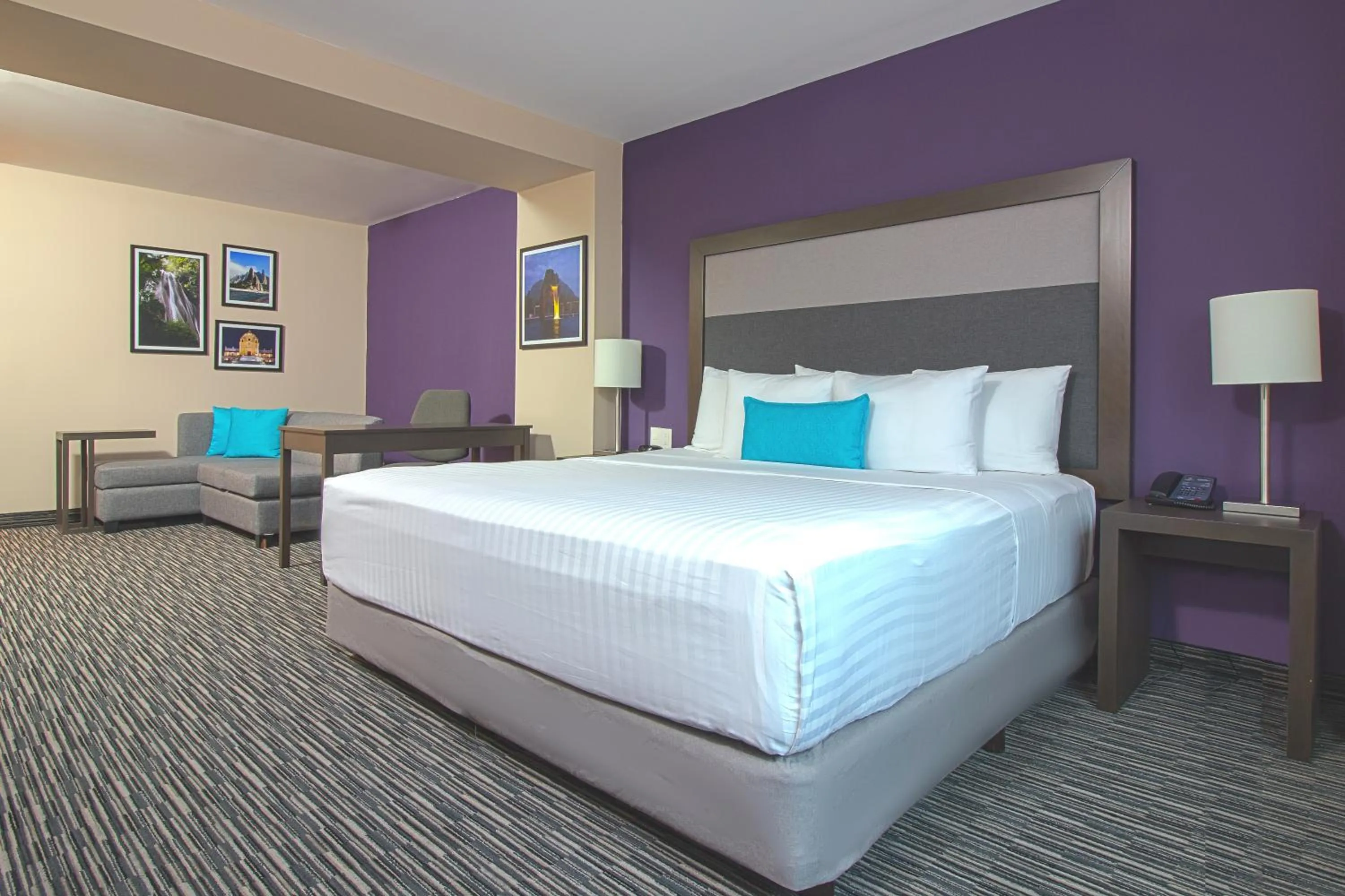 King Room - single occupancy - Non-Smoking in CHN Hotel Monterrey Aeropuerto, Trademark by Wyndham
