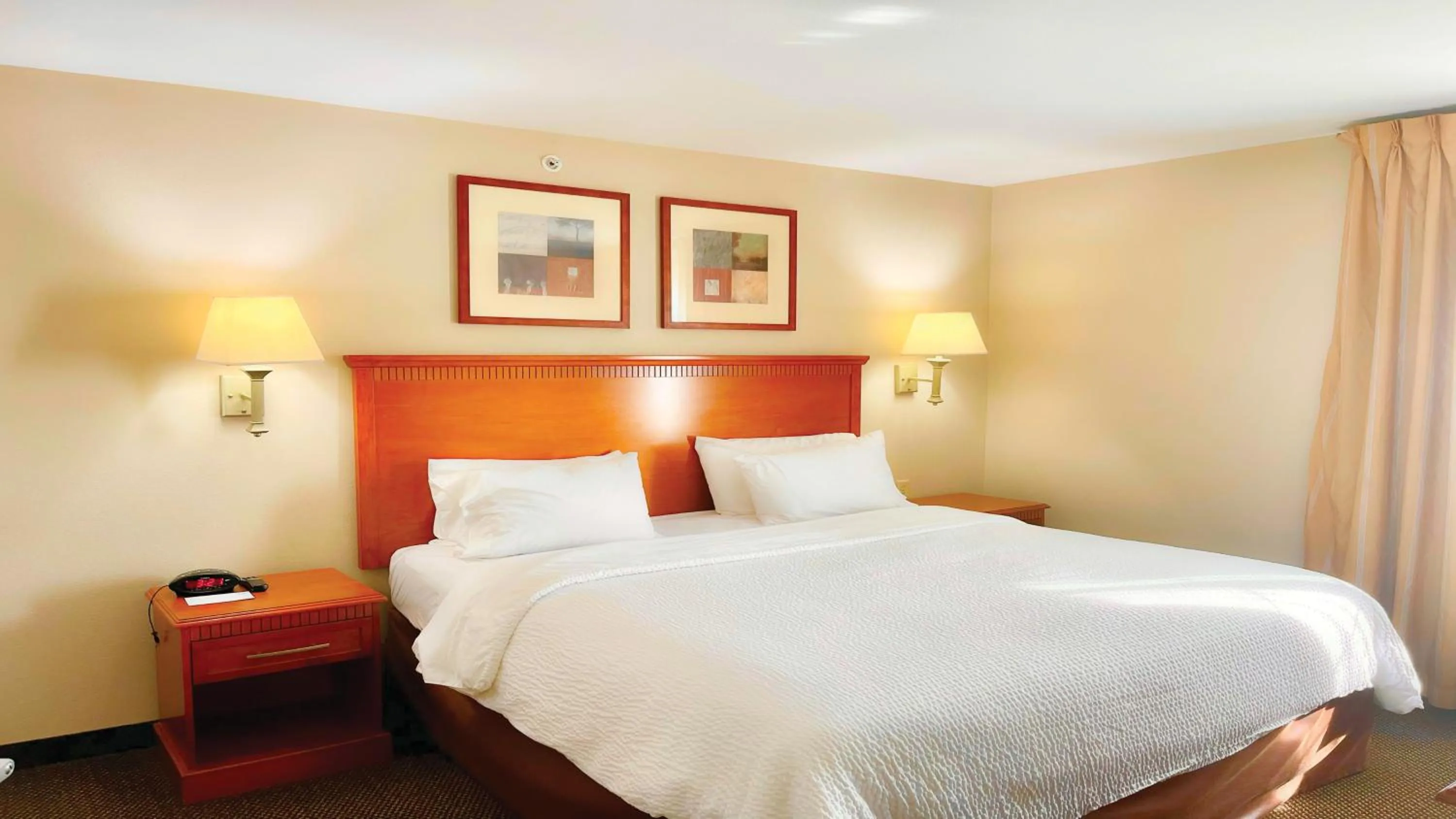 One-Bedroom King Suite with Mobility Accessible Roll-In Shower in Candlewood Suites San Antonio NW Near SeaWorld by IHG