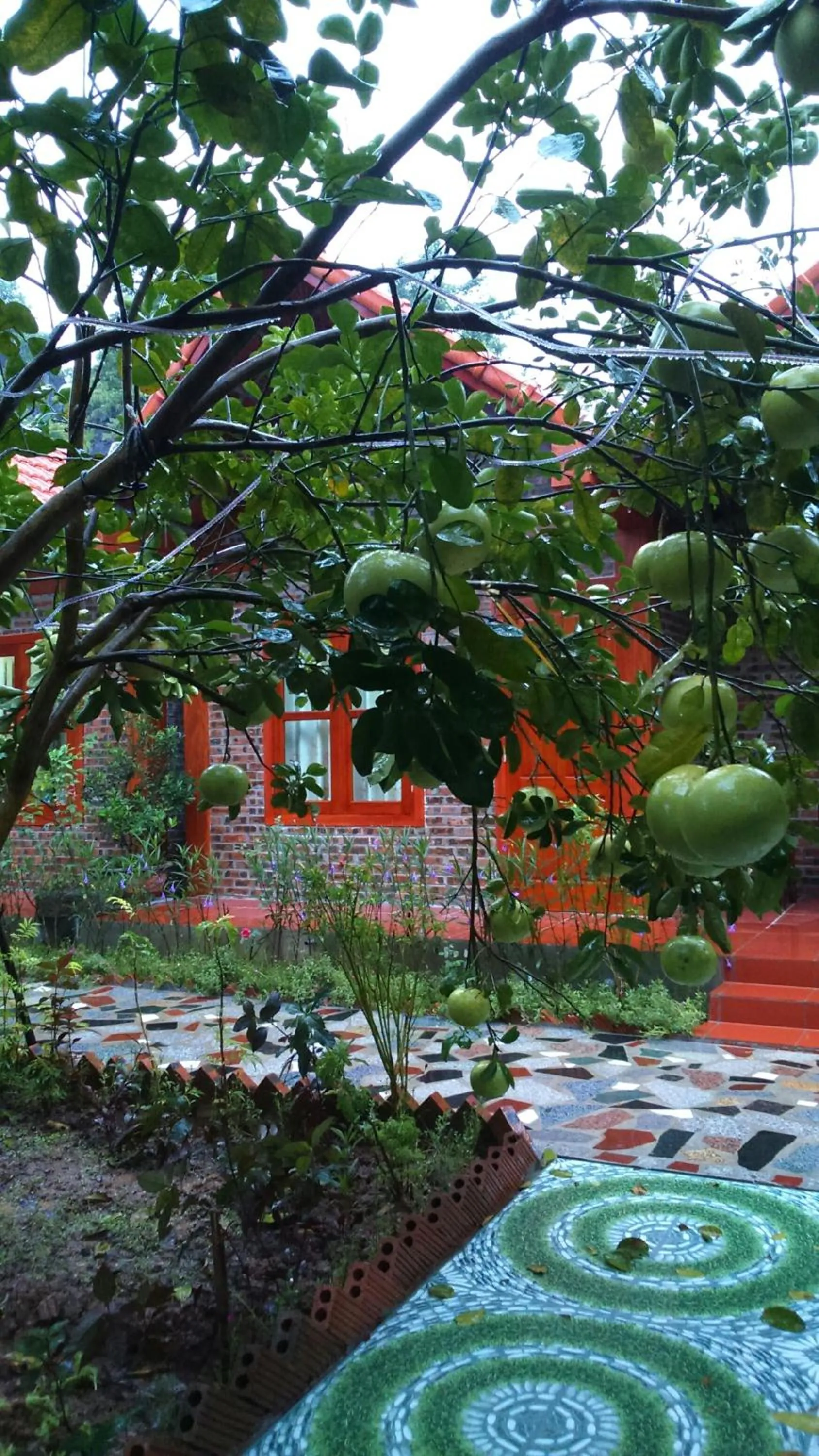 Double Room with Garden View in Tam Coc Thanh Dat Homestay