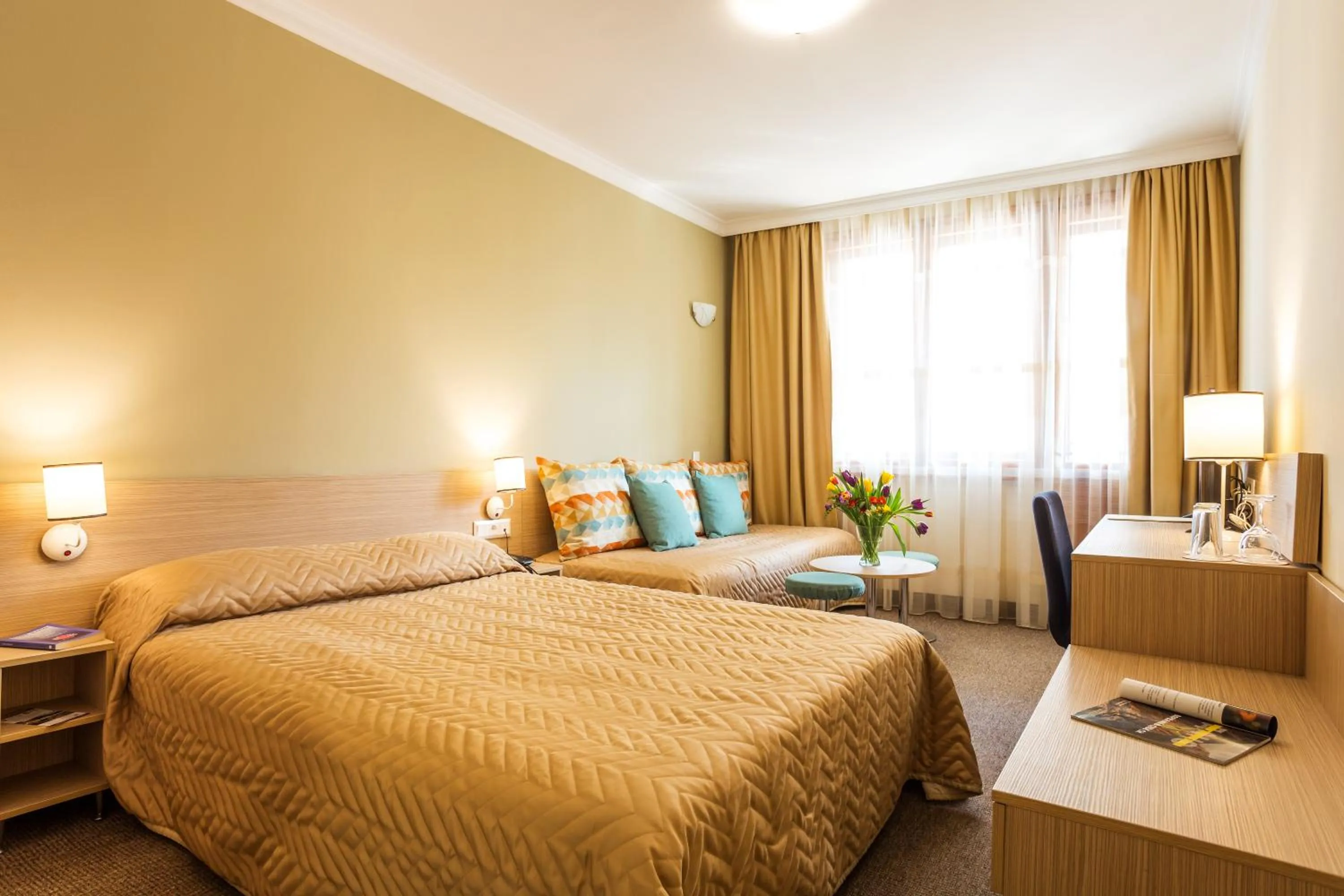 Double Room in Geneva Hotel