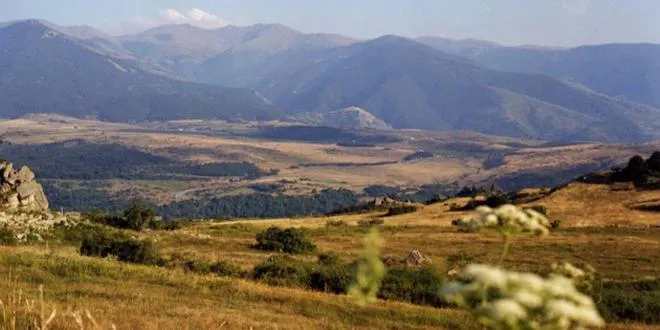One-Bedroom Apartment without Balcony (5 people) in Residence The Catalogne