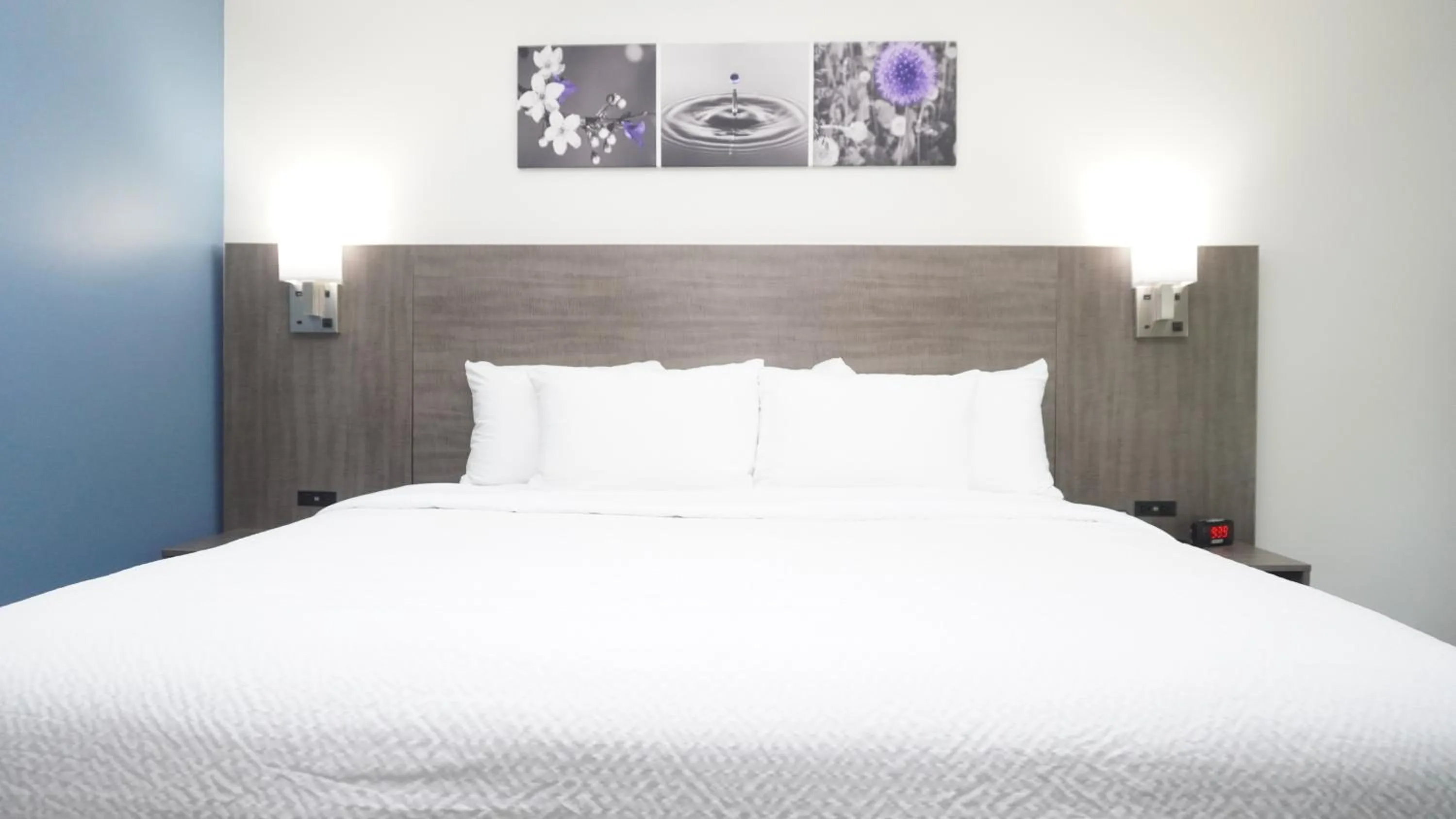 King Room - Non Smoking in Sleep Inn Franklin - Cool Springs