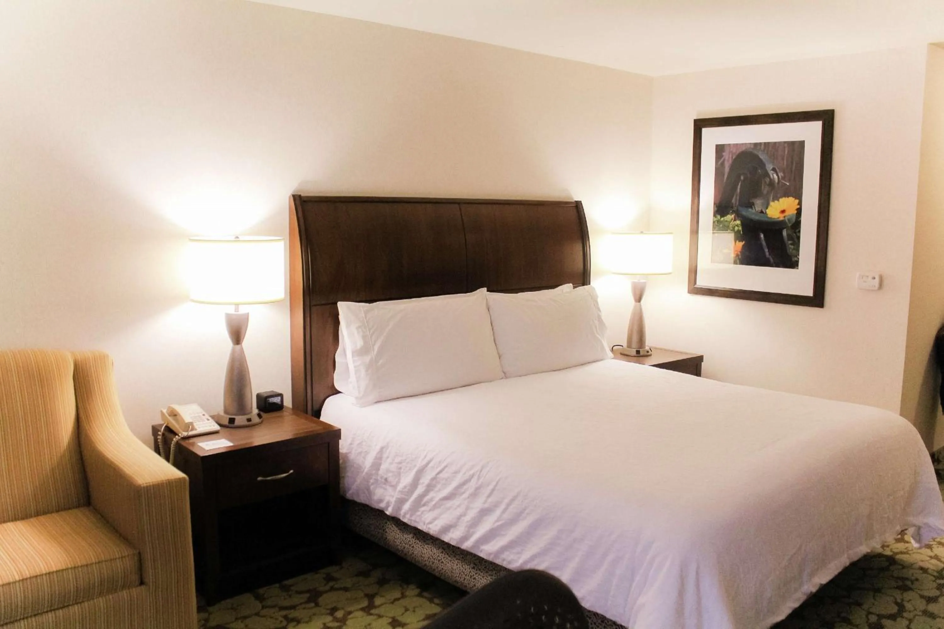 King Room with Tub - Mobility and Hearing Access in Hilton Garden Inn Redding